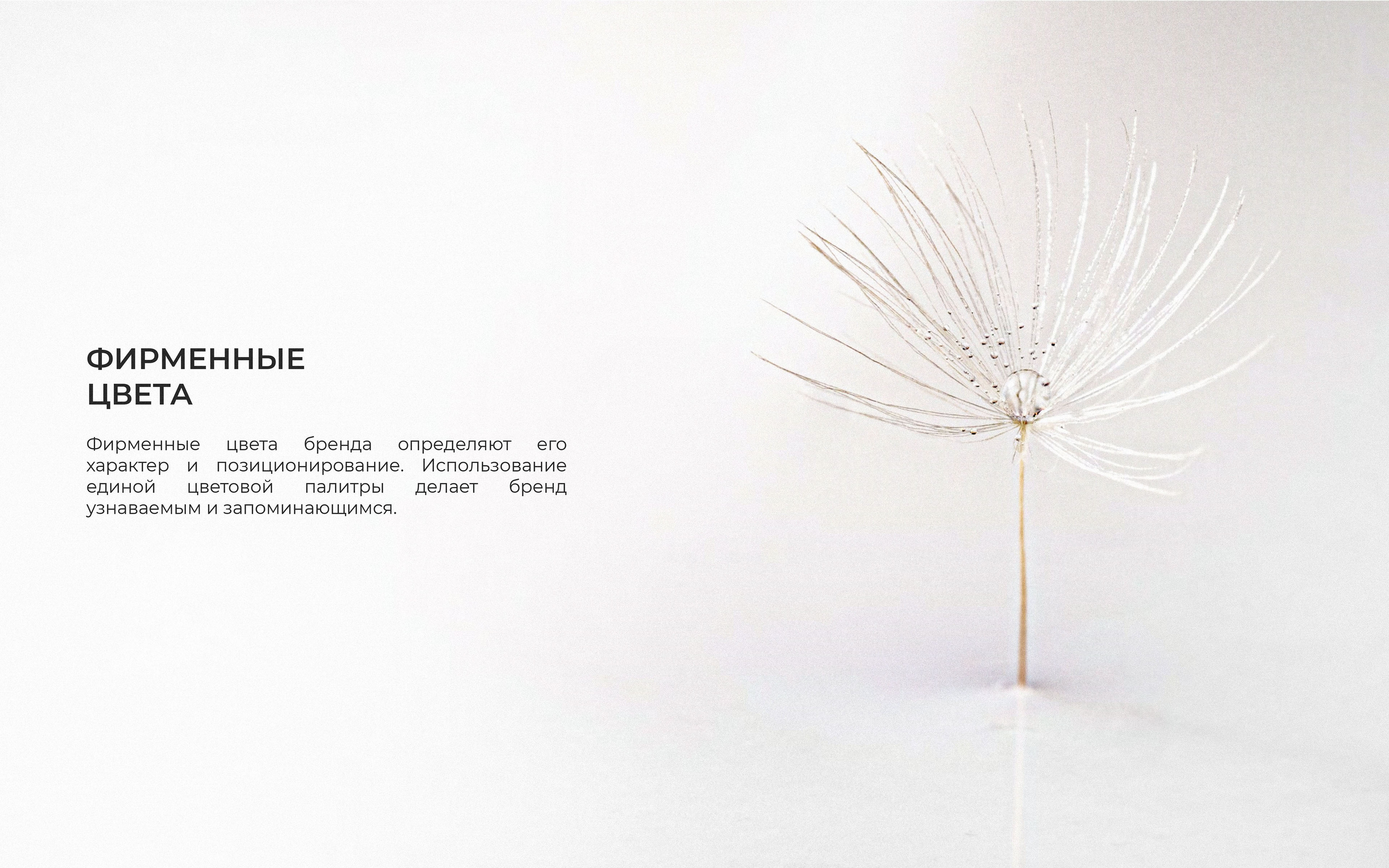 Гайдбук по фирменному стилю Desire — Изображение №14 — Брендинг на Dprofile