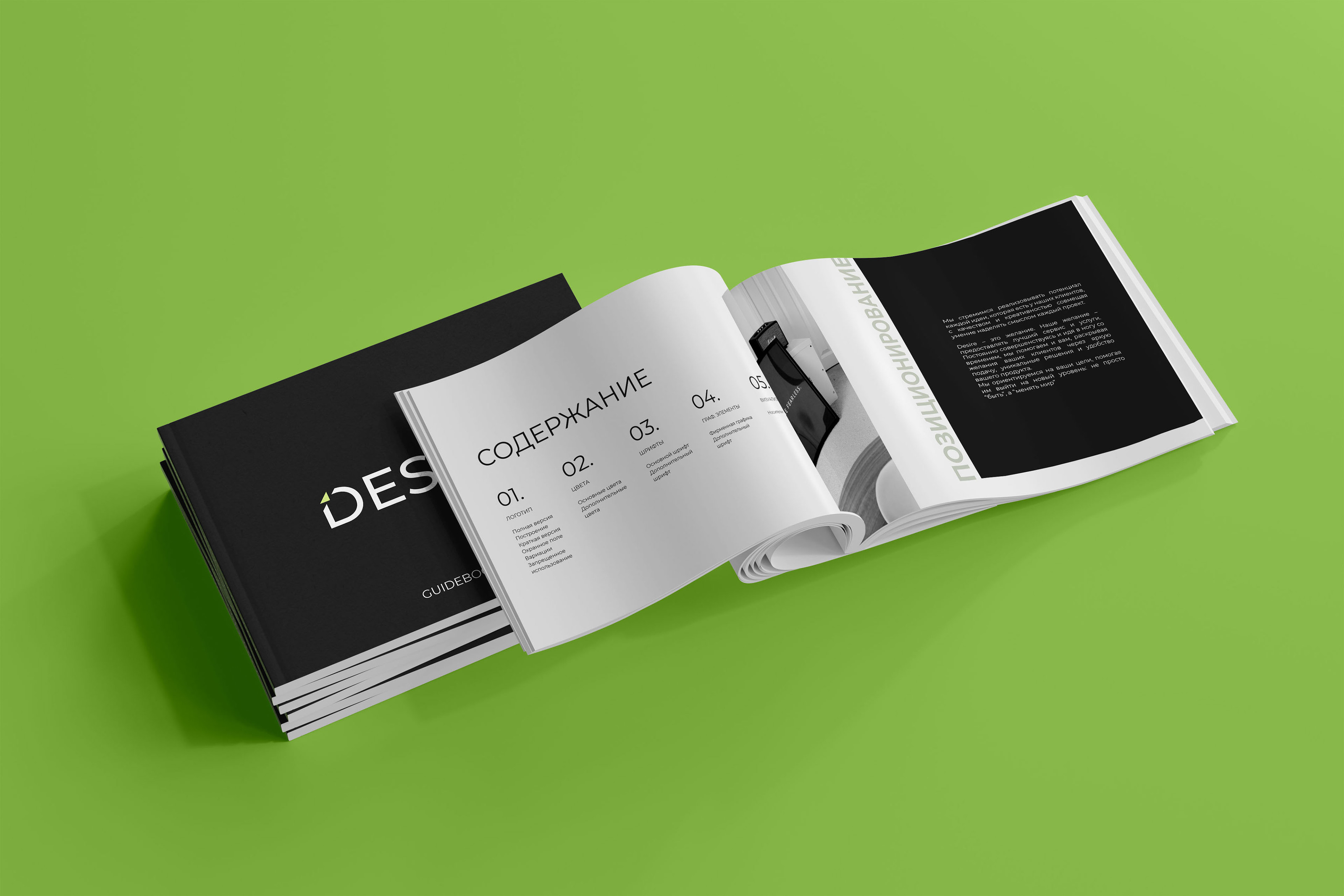 Гайдбук по фирменному стилю Desire — Изображение №1 — Брендинг на Dprofile