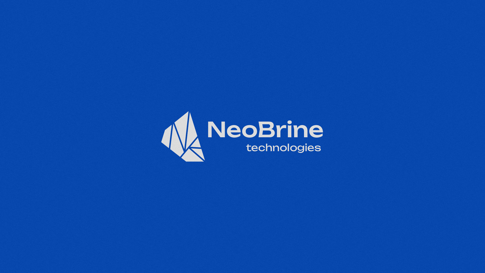 Фирменный стиль для компании NeoBrine — Изображение №2 — Брендинг на Dprofile