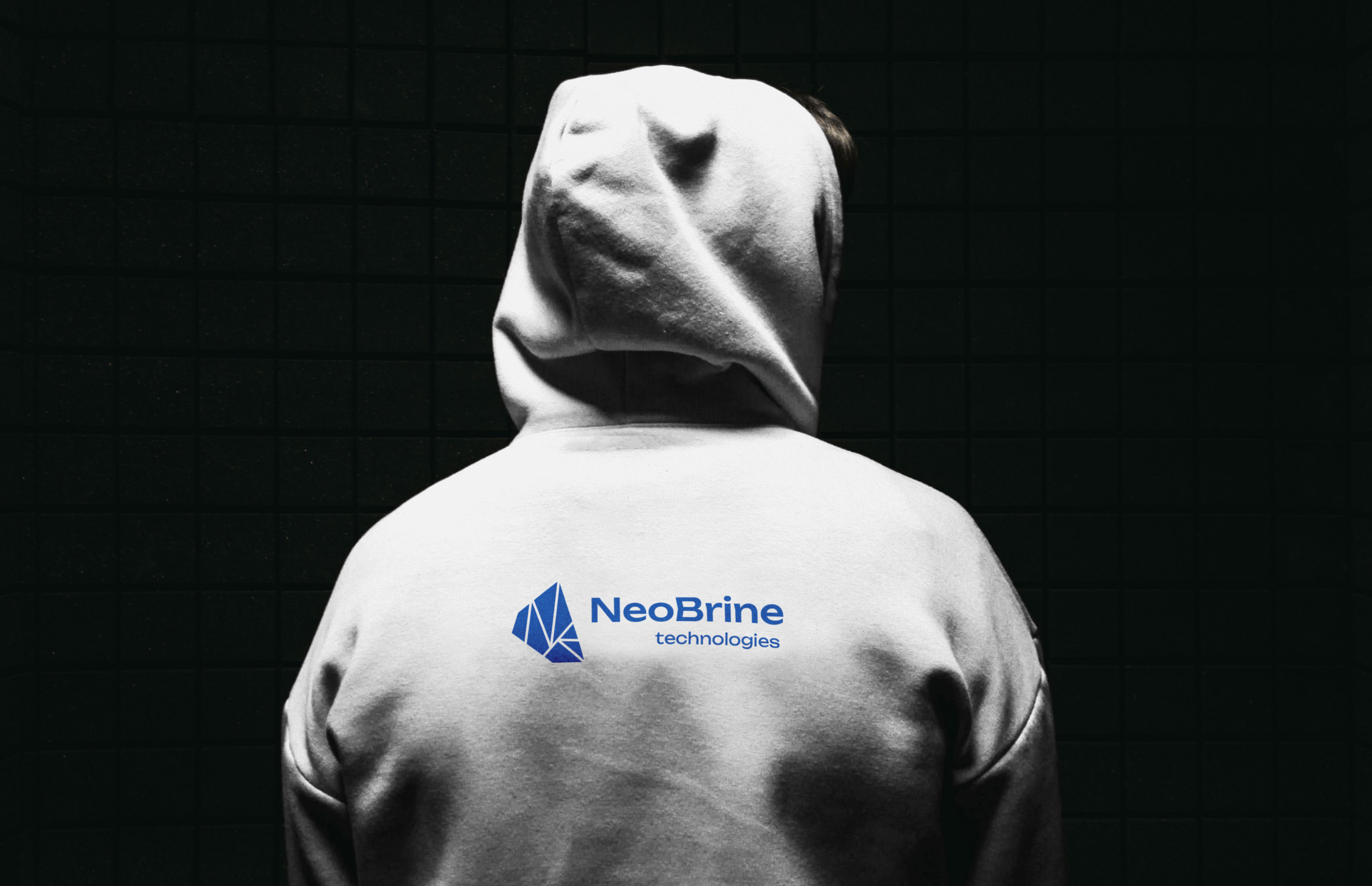 Фирменный стиль для компании NeoBrine — Изображение №14 — Брендинг на Dprofile