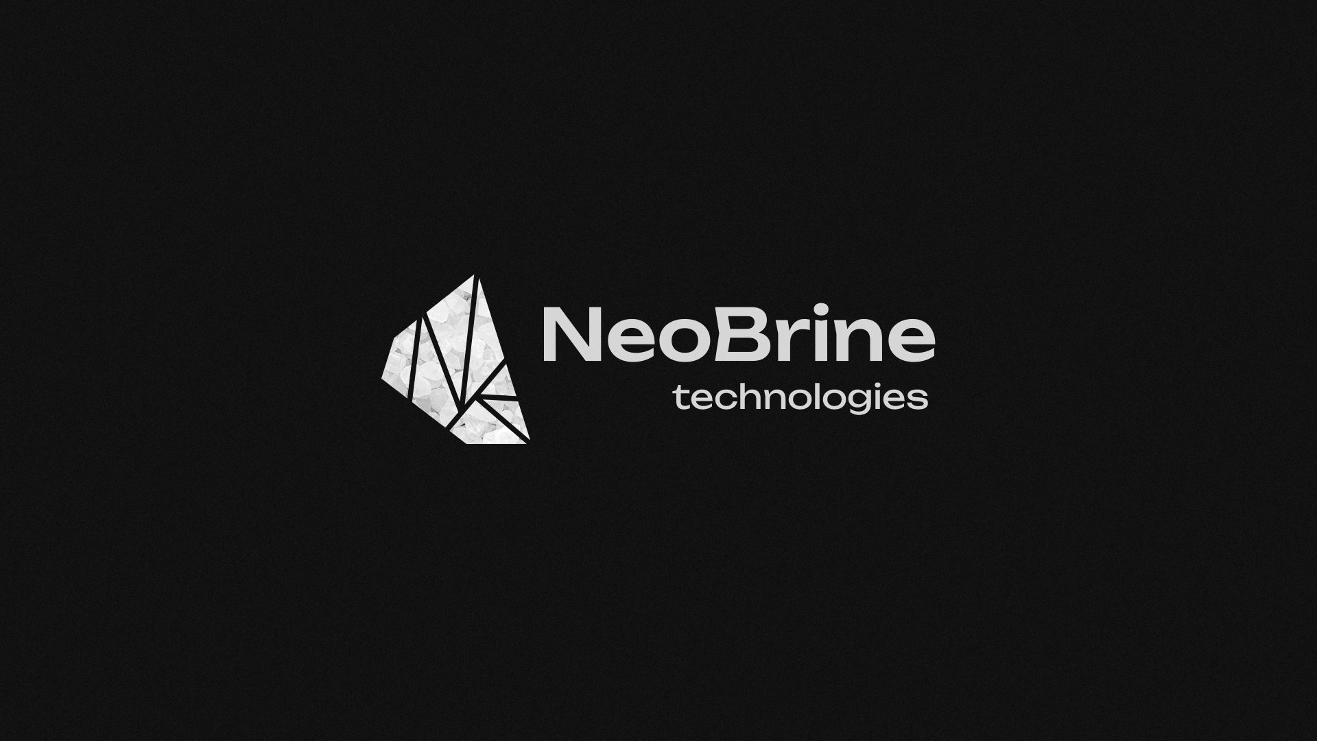 Фирменный стиль для компании NeoBrine — Изображение №12 — Брендинг на Dprofile