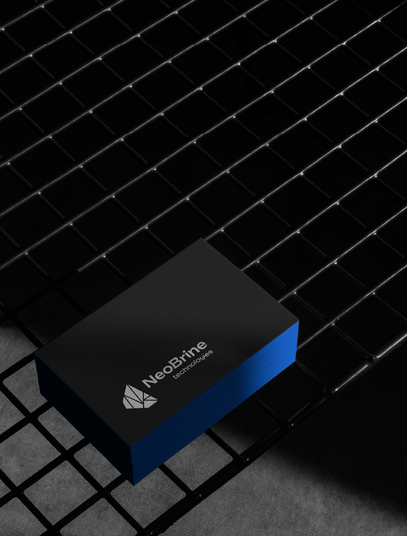 Фирменный стиль для компании NeoBrine — Изображение №10 — Брендинг на Dprofile