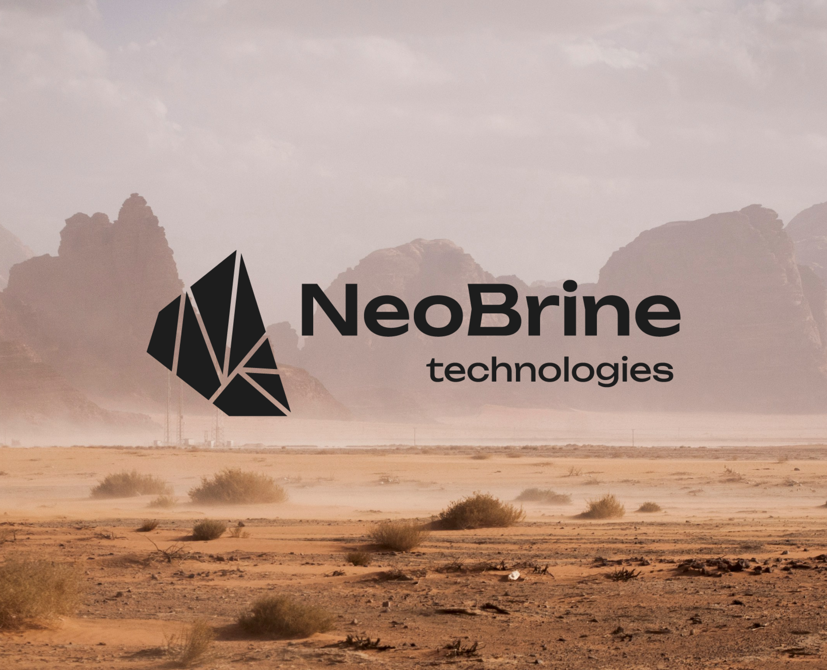 Фирменный стиль для компании NeoBrine на Dprofile