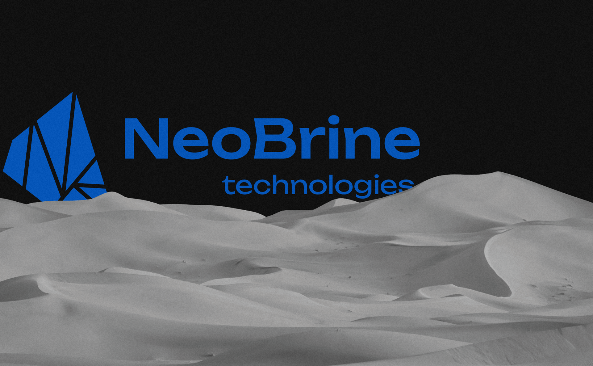Фирменный стиль для компании NeoBrine — Изображение №16 — Брендинг на Dprofile