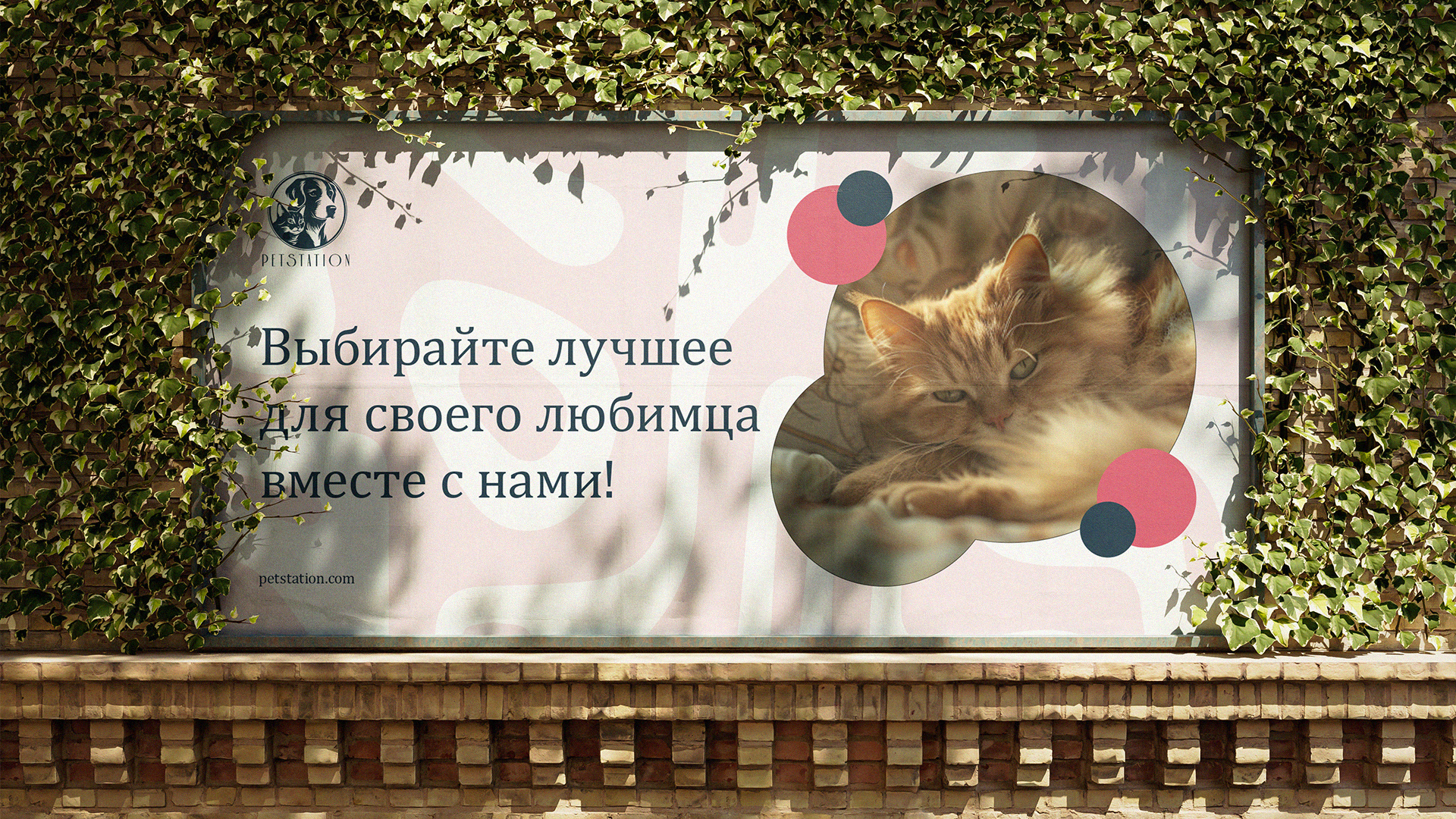 Petstation | Brand Identity & Logo design — Изображение №8 — Брендинг, Маркетинг на Dprofile