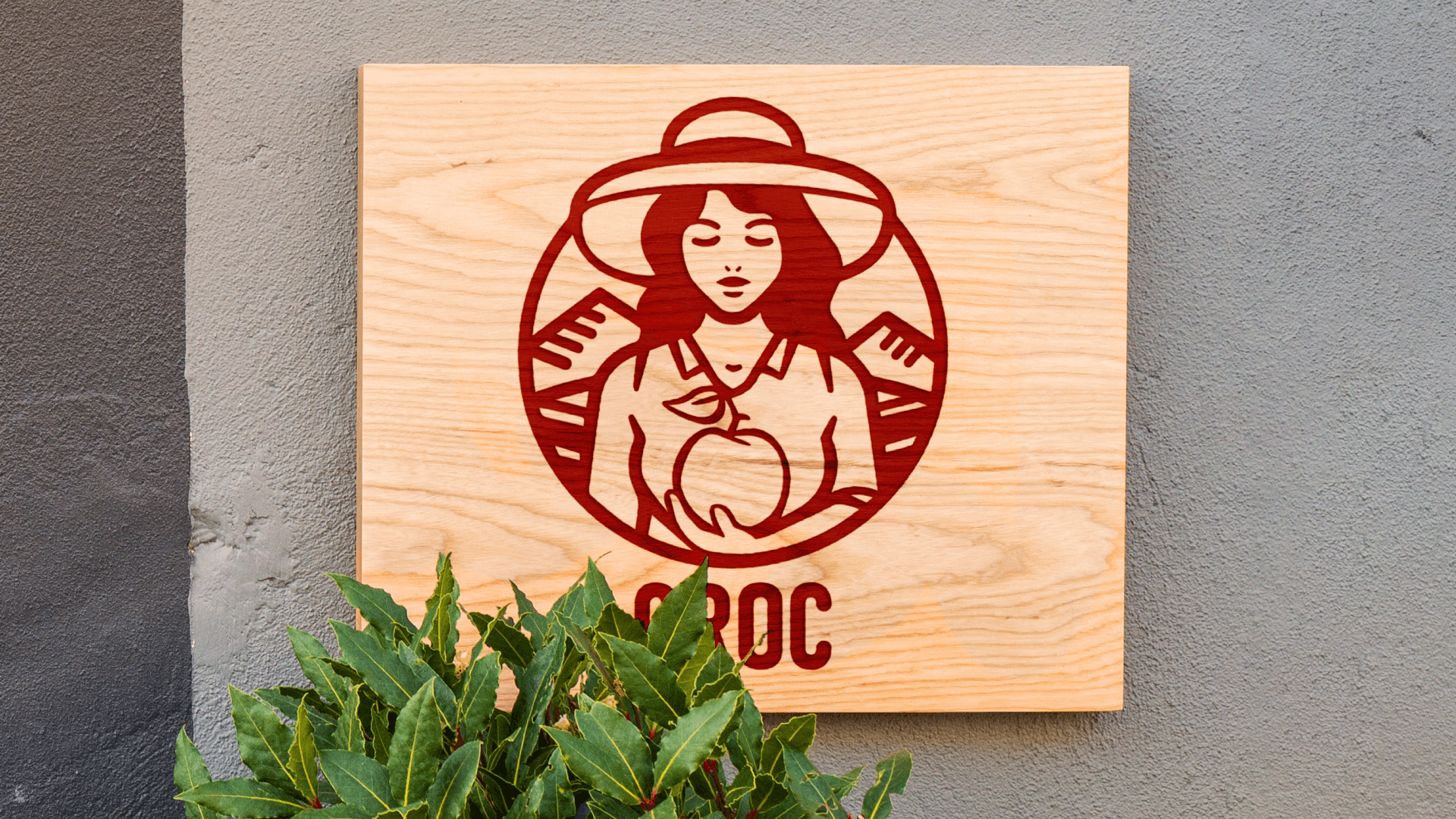 Groc | Heraldic logo | Brand Identity & Logo design — Изображение №4 — Брендинг, Маркетинг на Dprofile