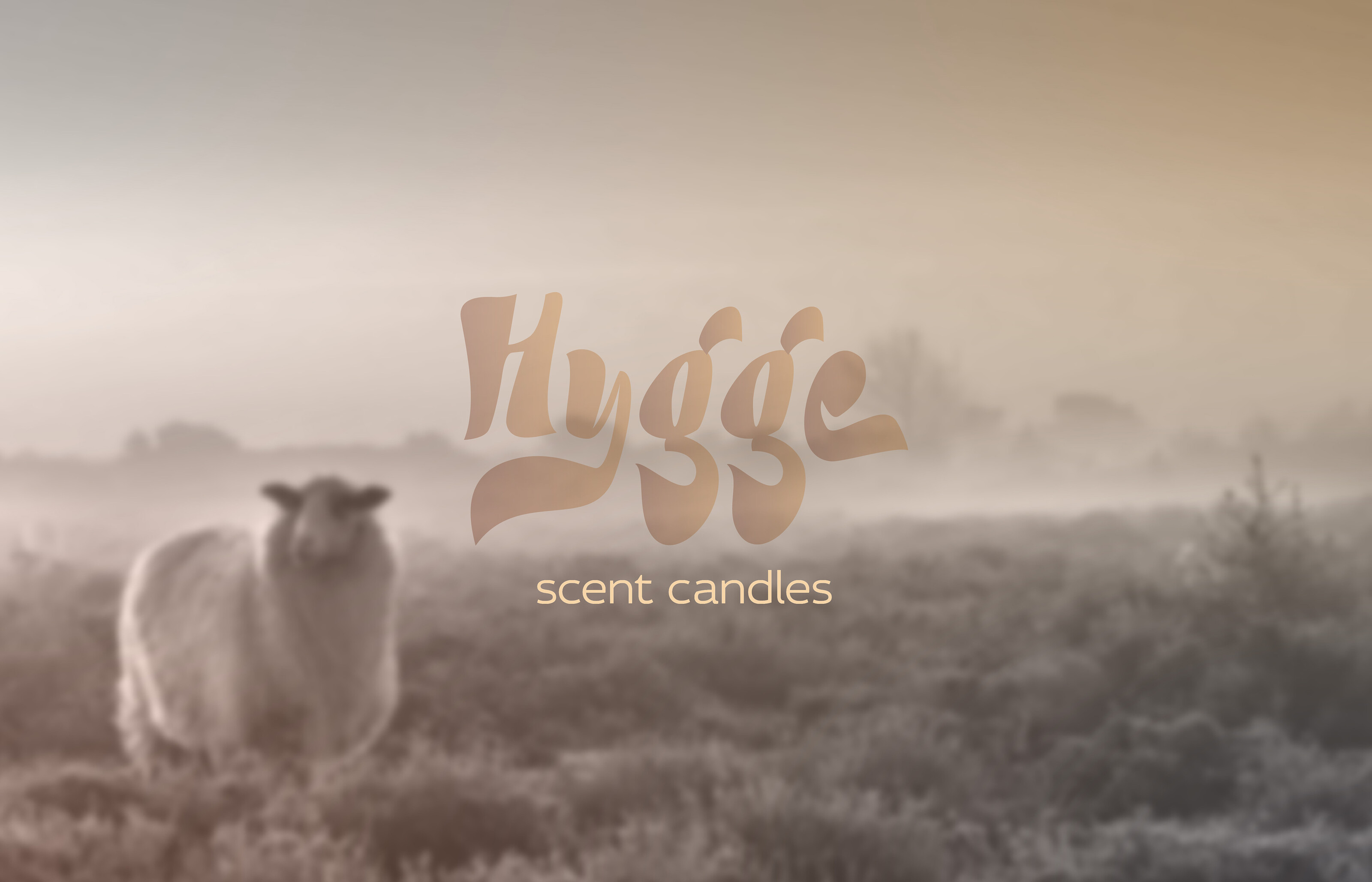 Разработка шрифтового логотипа. Hygge. — Изображение №4 — Брендинг, Графика на Dprofile