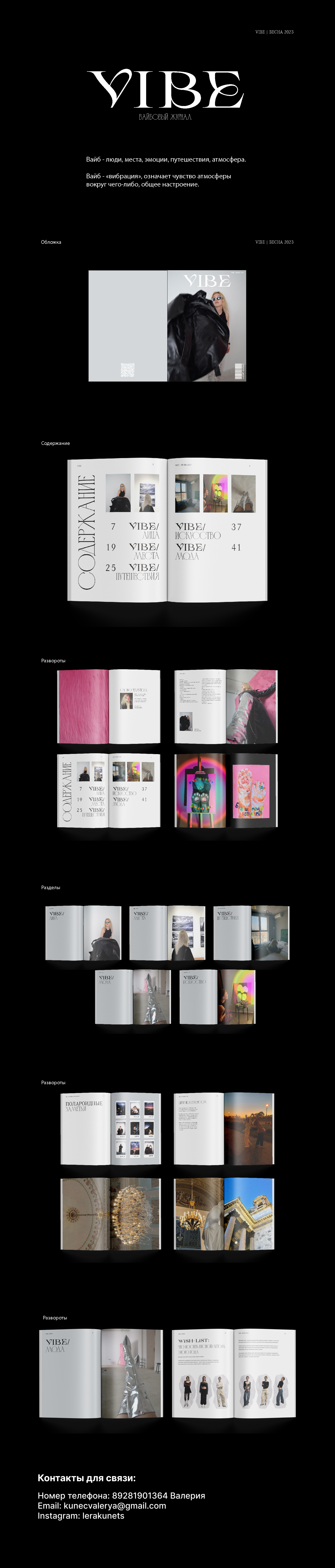 Журнал VIBE — Изображение №1 — Брендинг, Графика на Dprofile