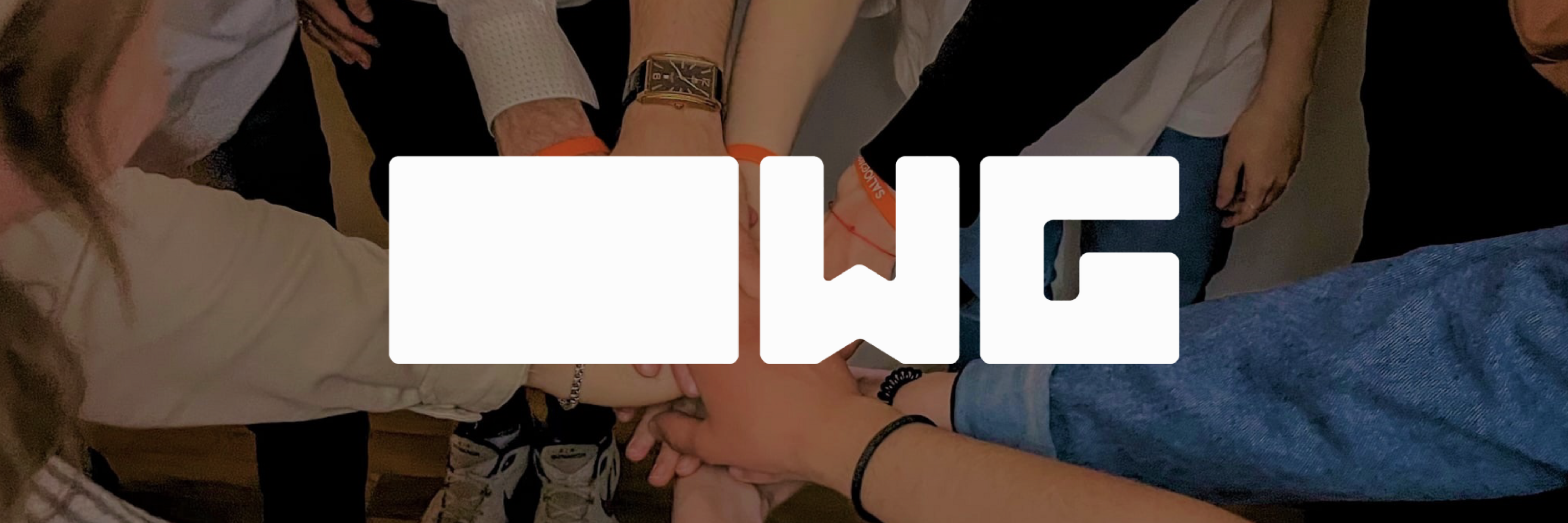 Рестайлинг OWG — Изображение №1 — Брендинг, Графика на Dprofile