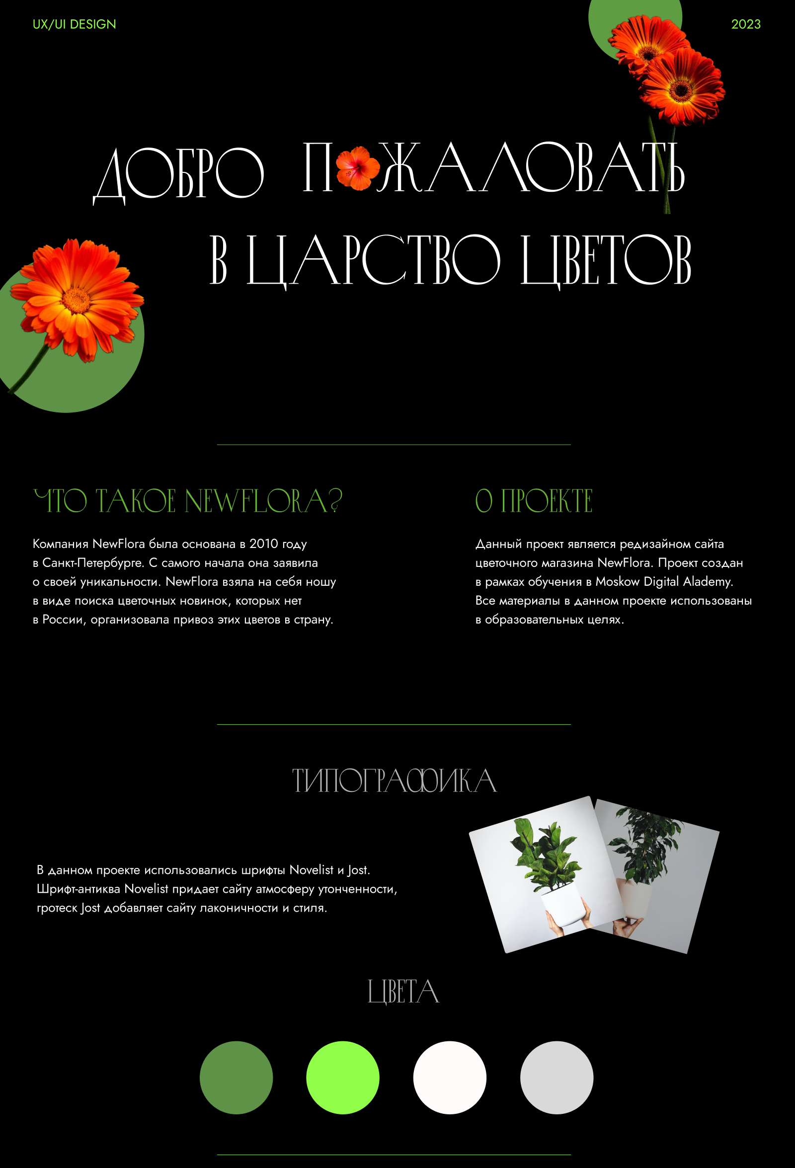 Магазин цветов "NewFlora" — Изображение №1 — Интерфейсы на Dprofile