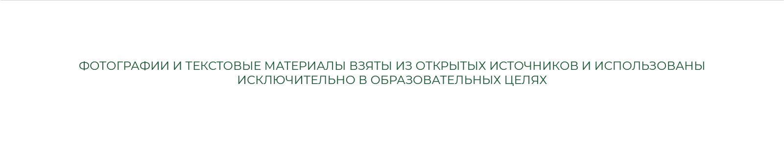 Разработка фирменного стиля для ЯМАЛ ЭКОЛОГИЯ — Изображение №4 — Брендинг на Dprofile