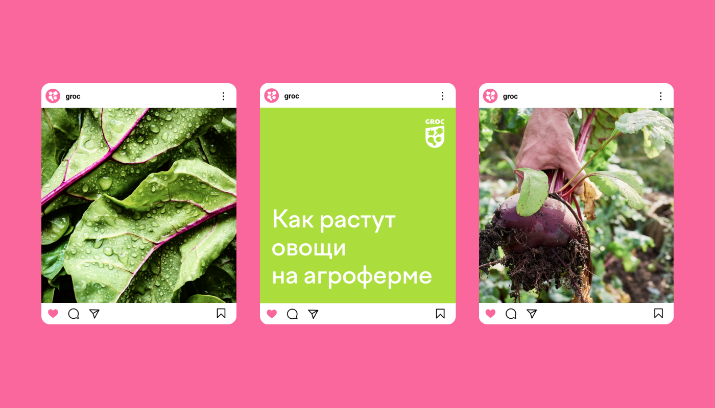 Агрохолдинг GROC — Изображение №6 — Брендинг на Dprofile