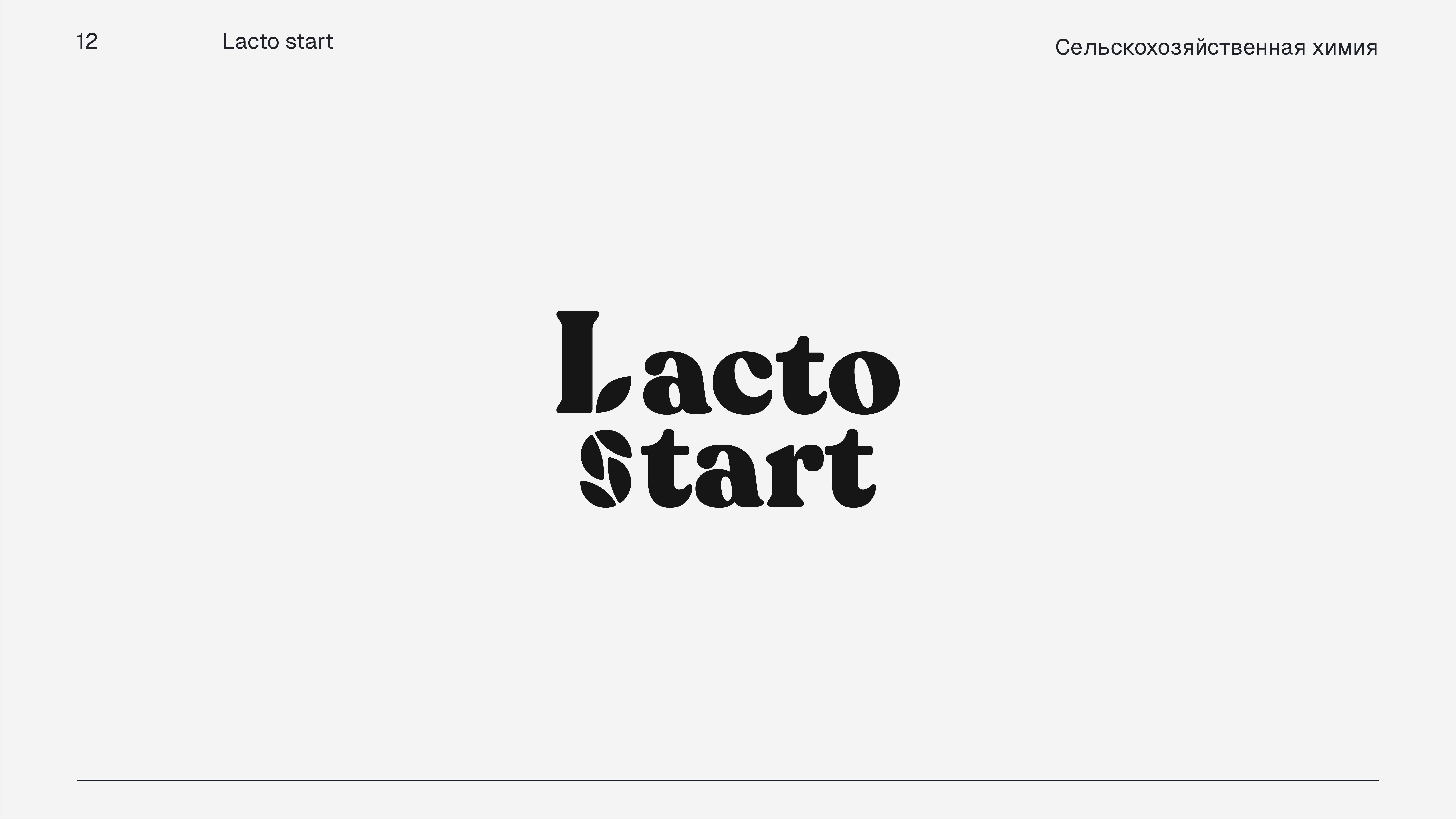 Logofolio 2024 — Изображение №13 — Брендинг, Графика на Dprofile