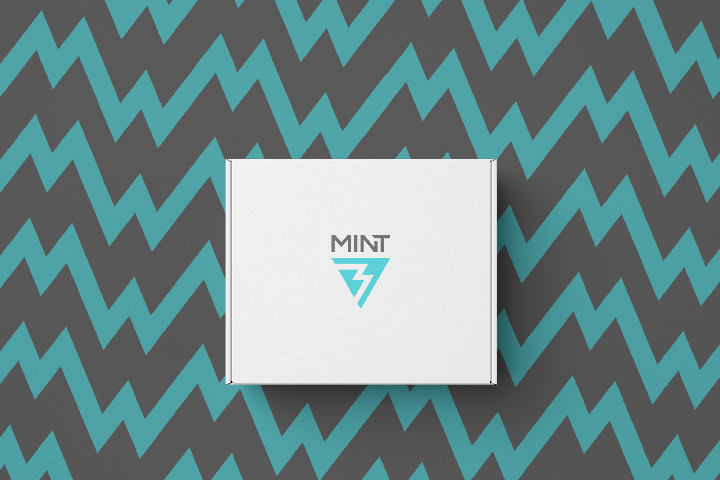 Логотип для портативной техники Mint — Изображение №8 — Брендинг на Dprofile