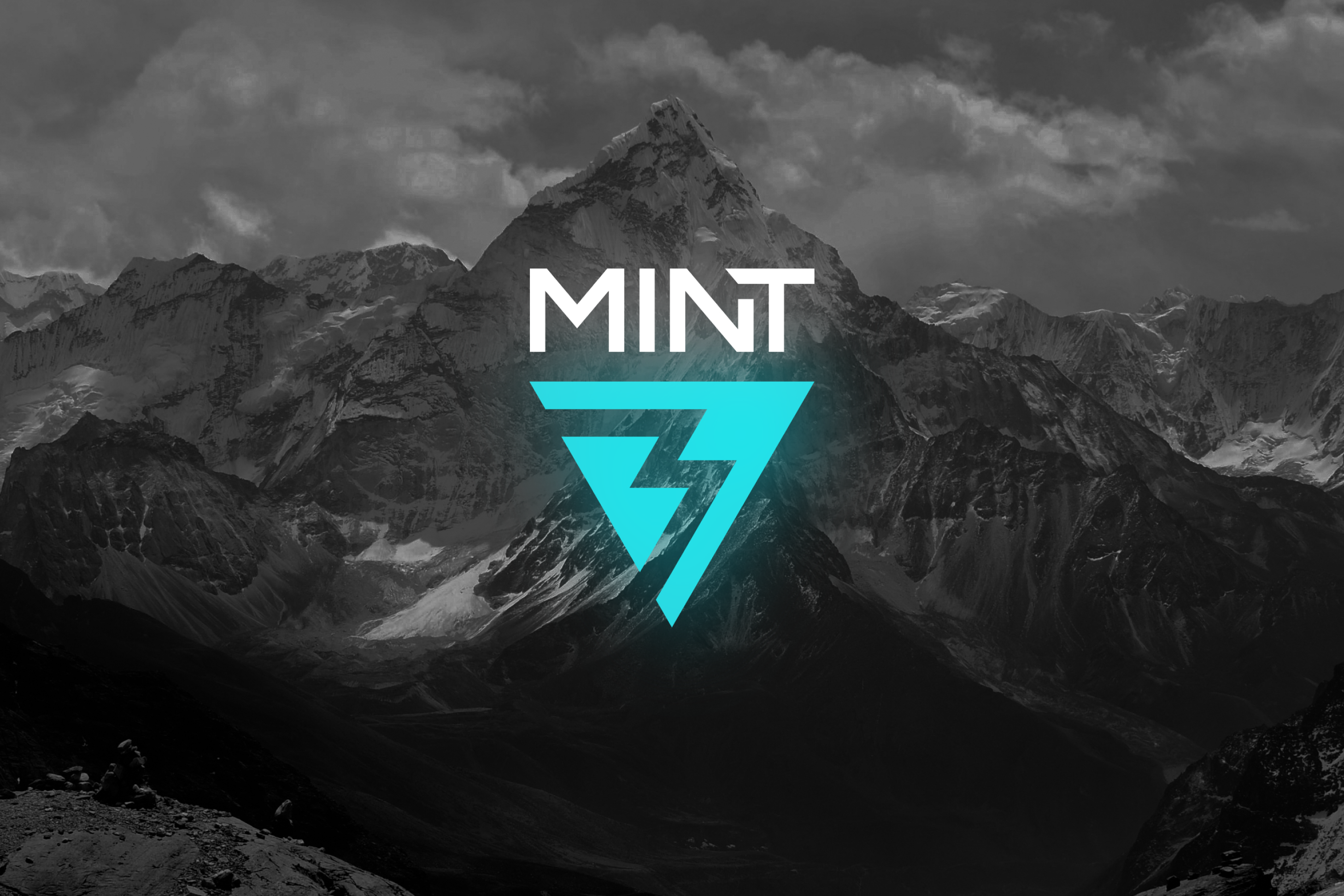 Логотип для портативной техники Mint — Изображение №1 — Брендинг на Dprofile