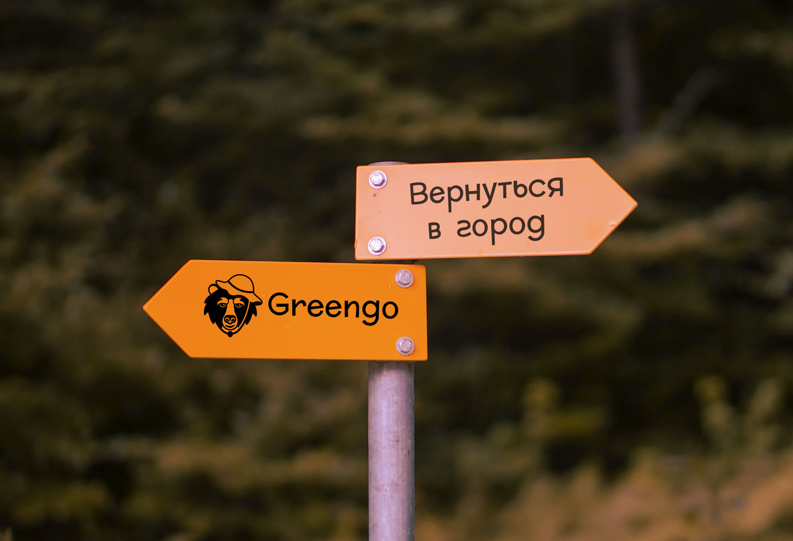 Greengo | магазин туристической экипировки — Изображение №1 — Брендинг на Dprofile