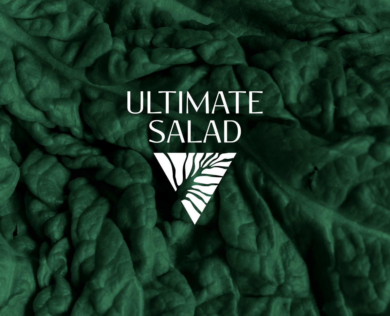 Логотип и упаковка для бренда Ultimate Salad — Брендинг на Dprofile