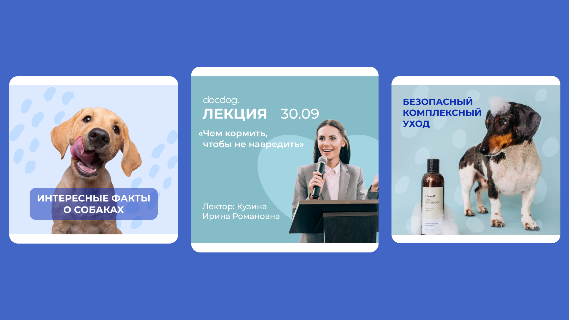 Docdog. – ветеринарная клиника для собак l Logo concept — Изображение №4 — Брендинг на Dprofile