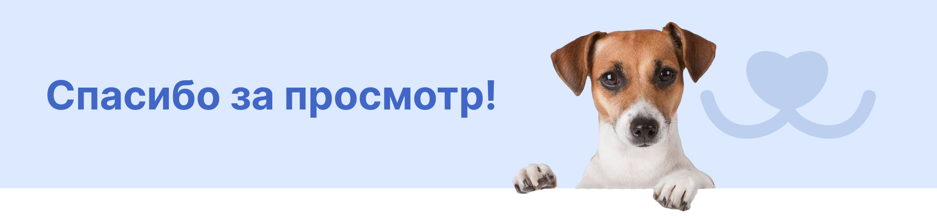 Docdog. – ветеринарная клиника для собак l Logo concept — Изображение №9 — Брендинг на Dprofile