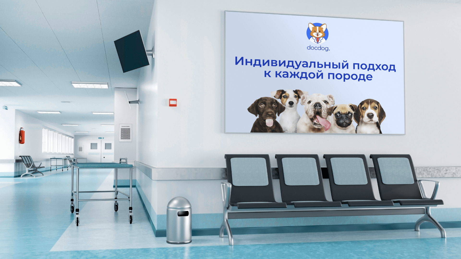 Docdog. – ветеринарная клиника для собак l Logo concept — Изображение №8 — Брендинг на Dprofile