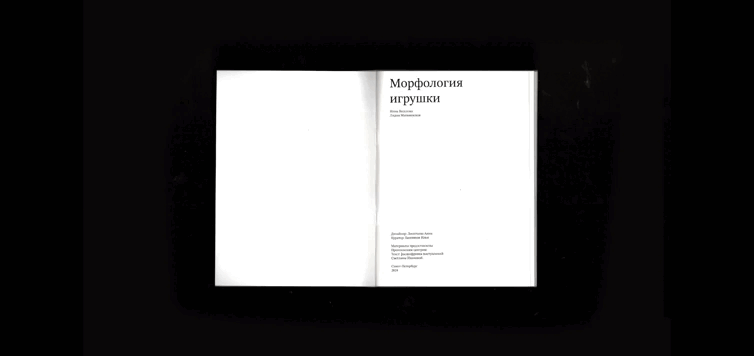 Морфология игрушки | Зин — Изображение №15 — Графика на Dprofile