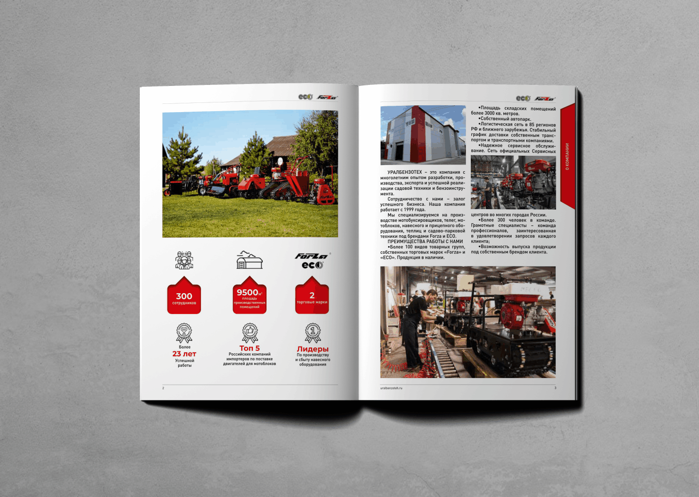 Дизайн и верстка каталогов — Изображение №5 — Графика на Dprofile