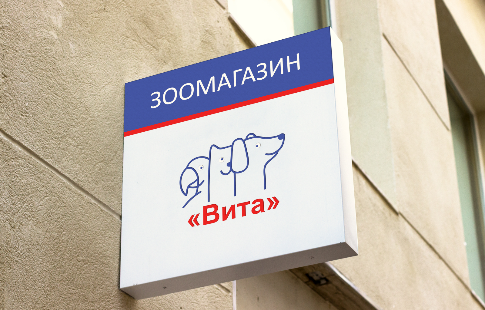 Визитки, флаер, режимник для ветклиники — Изображение №5 — Брендинг, Графика на Dprofile