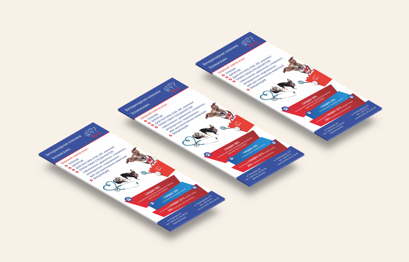 Визитки, флаер, режимник для ветклиники — Изображение №2 — Брендинг, Графика на Dprofile