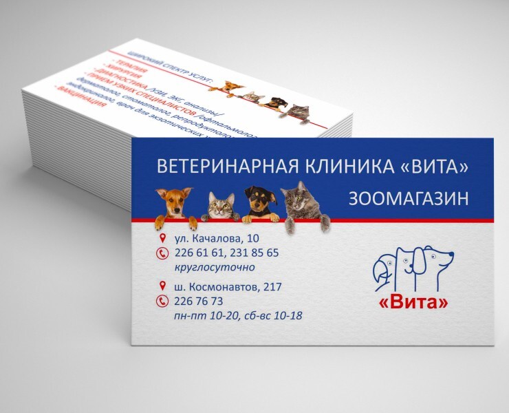 Визитки, флаер, режимник для ветклиники — Брендинг, Графика на Dprofile