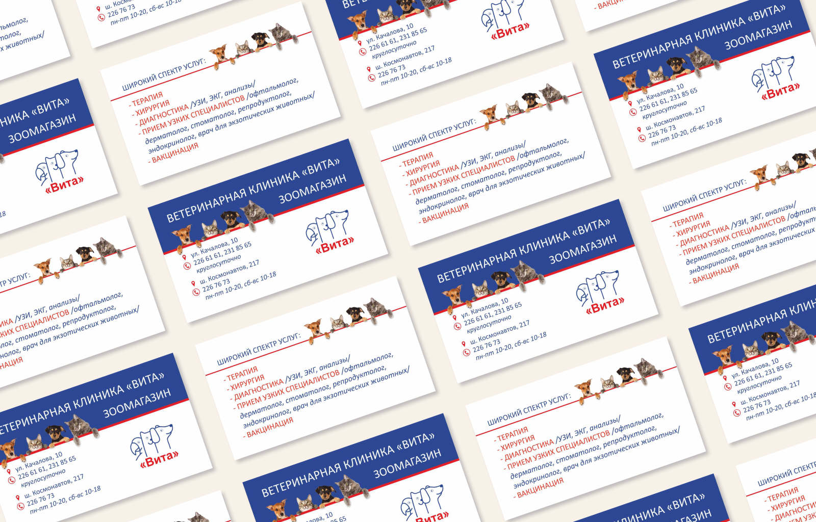 Визитки, флаер, режимник для ветклиники — Изображение №3 — Брендинг, Графика на Dprofile