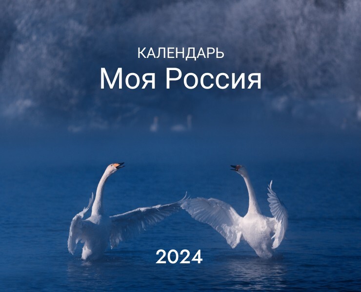 Календари перекидные — Графика на Dprofile