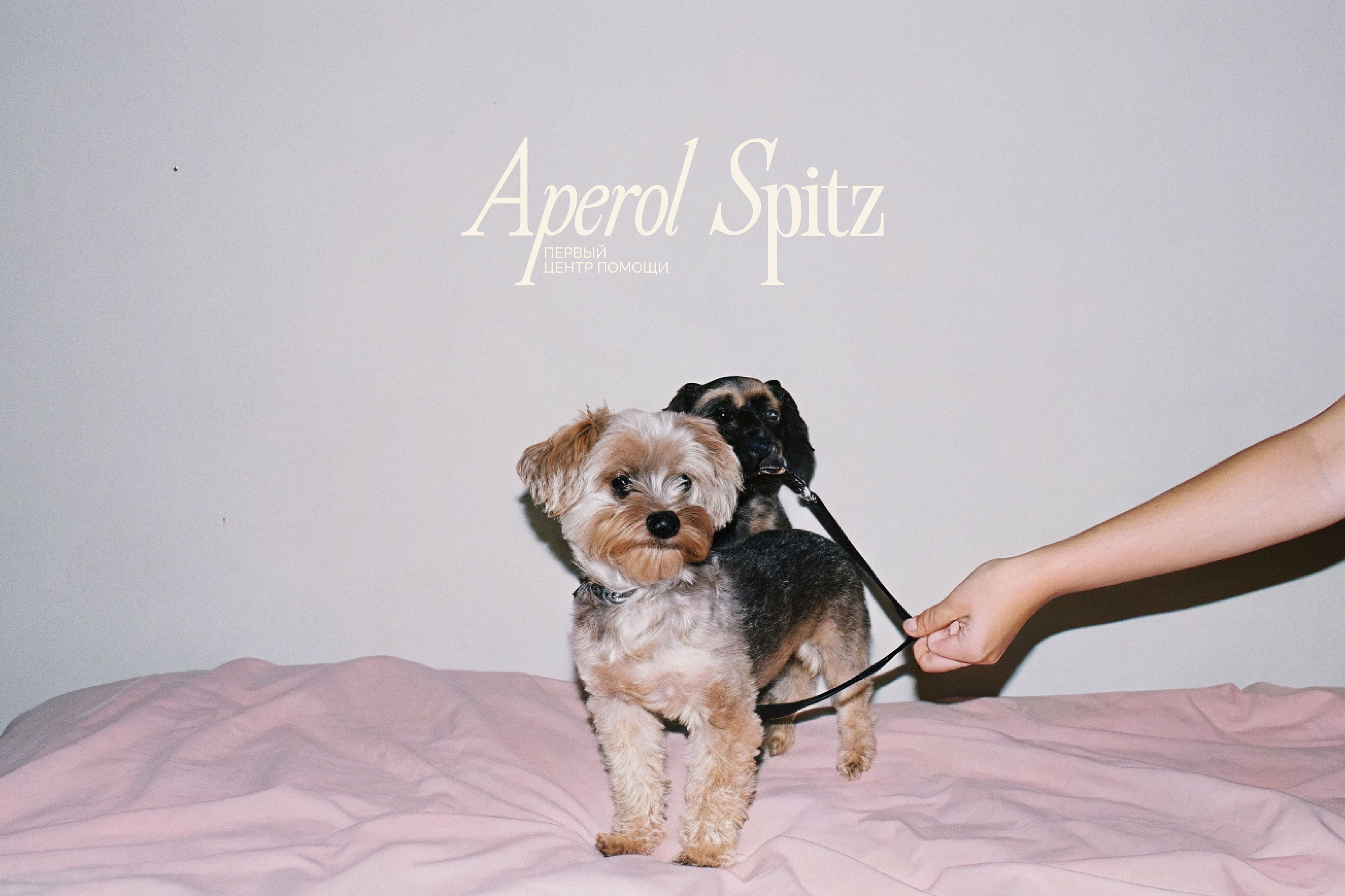 APEROL SPITZ - brand identity + social media design — Изображение №2 — Брендинг на Dprofile