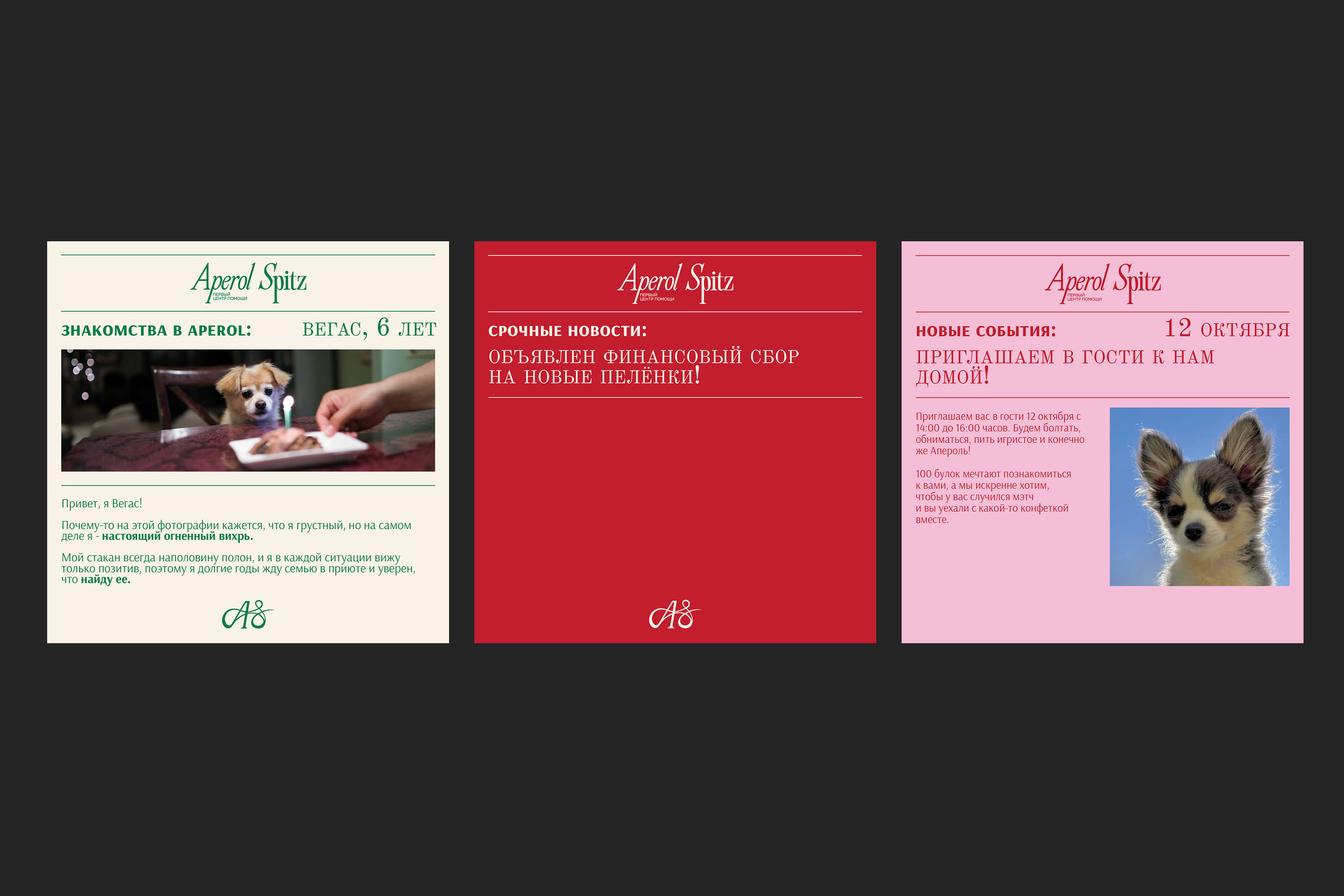 APEROL SPITZ - brand identity + social media design — Изображение №12 — Брендинг на Dprofile