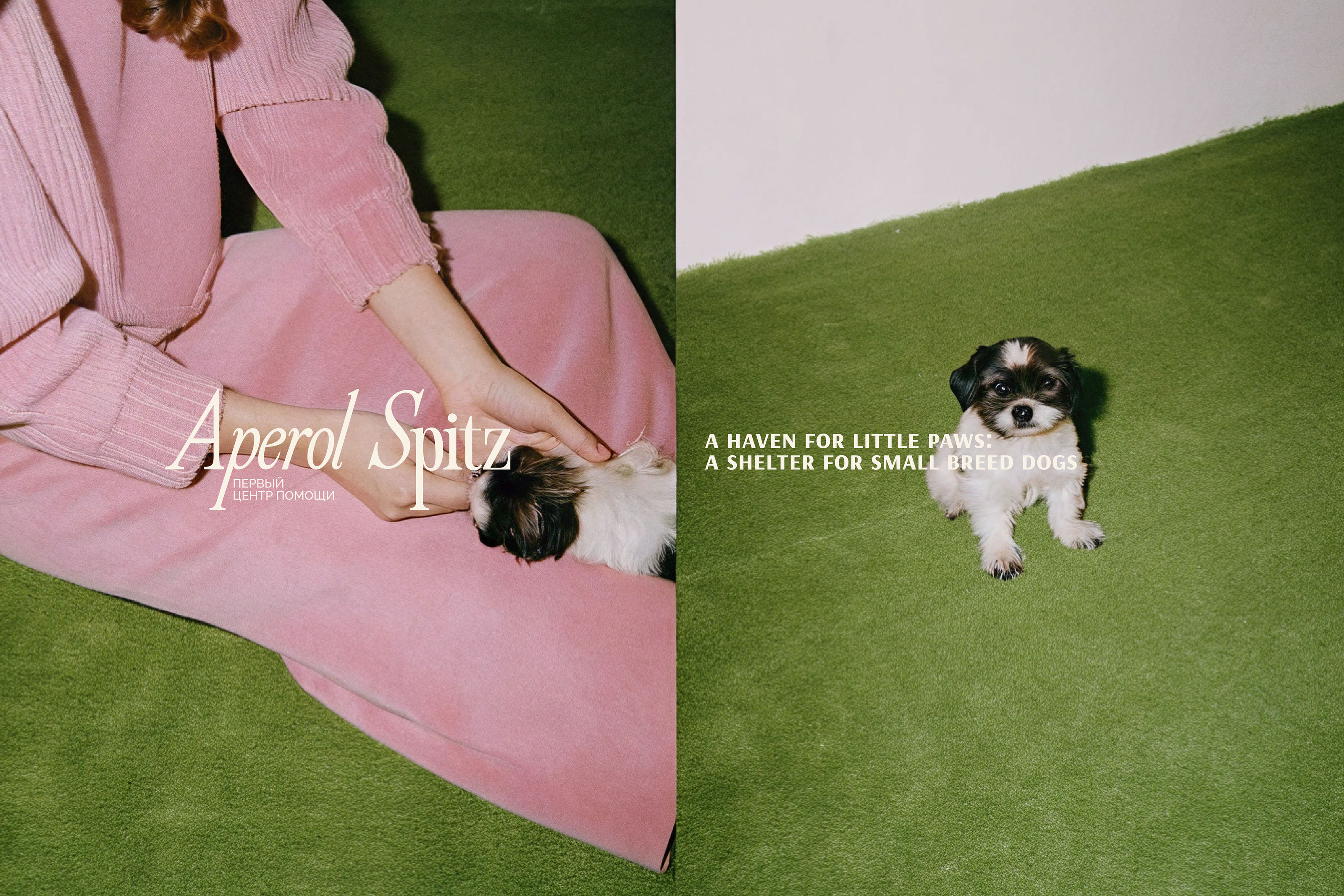 APEROL SPITZ - brand identity + social media design — Изображение №4 — Брендинг на Dprofile