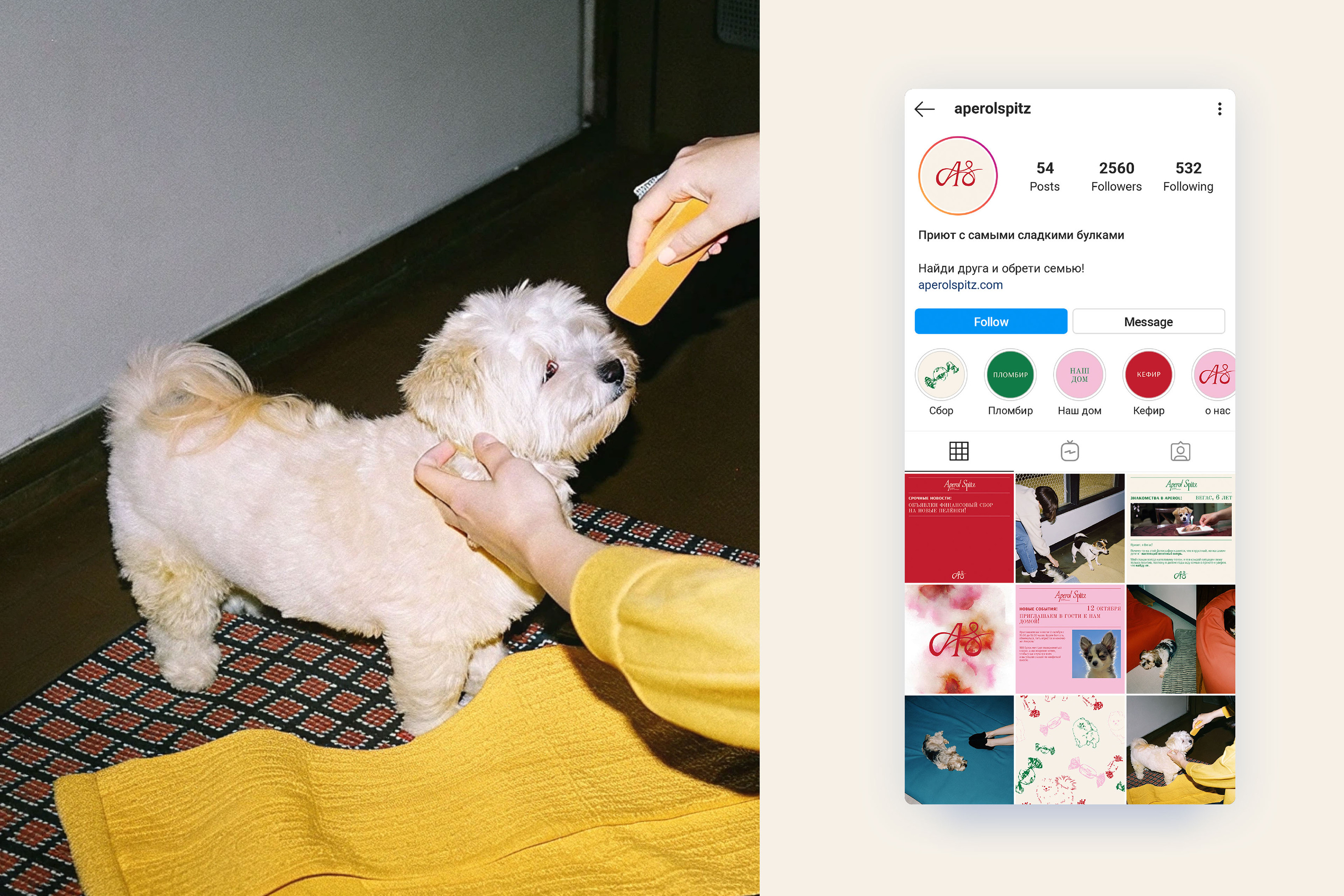 APEROL SPITZ - brand identity + social media design — Изображение №13 — Брендинг на Dprofile
