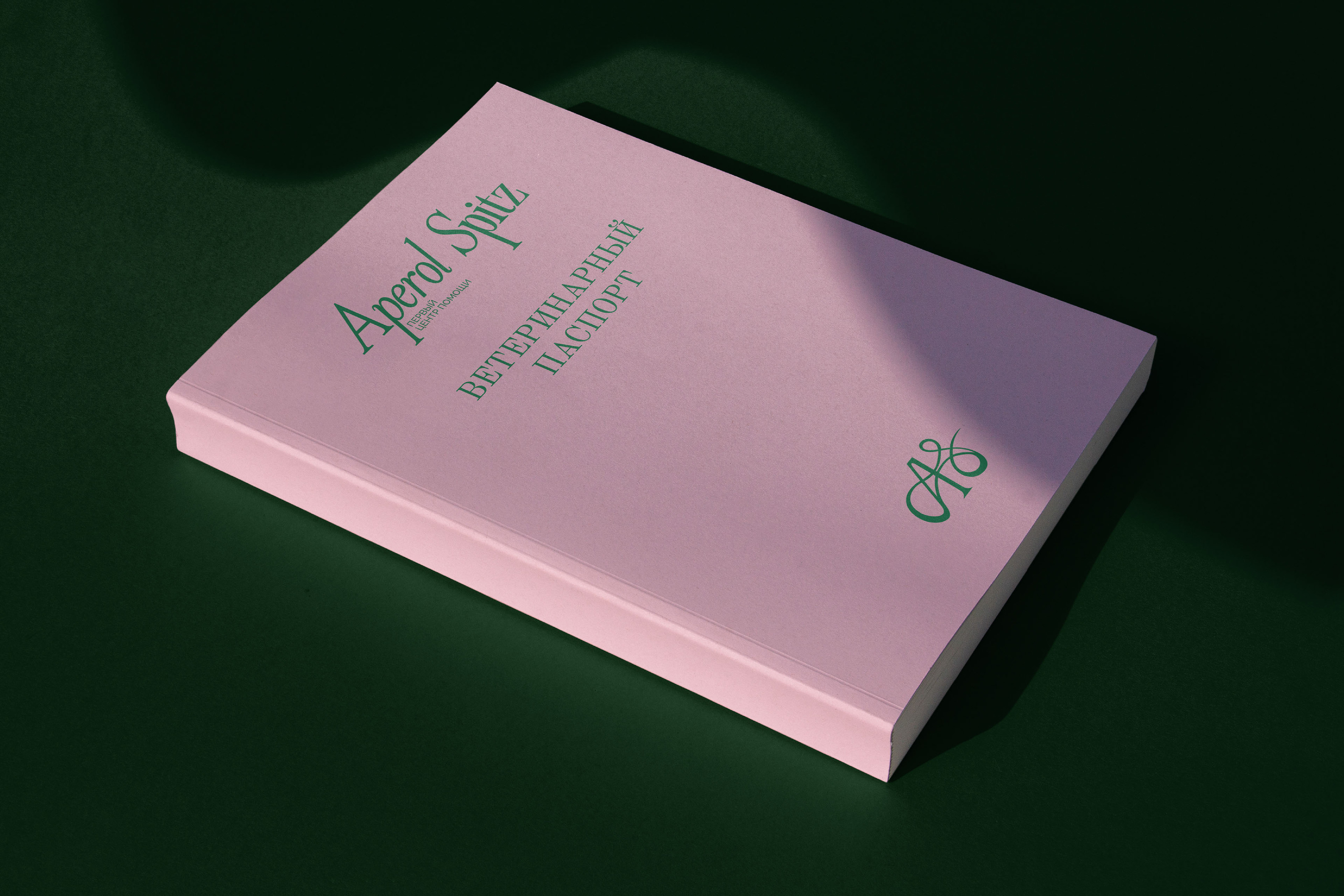 APEROL SPITZ - brand identity + social media design — Изображение №7 — Брендинг на Dprofile