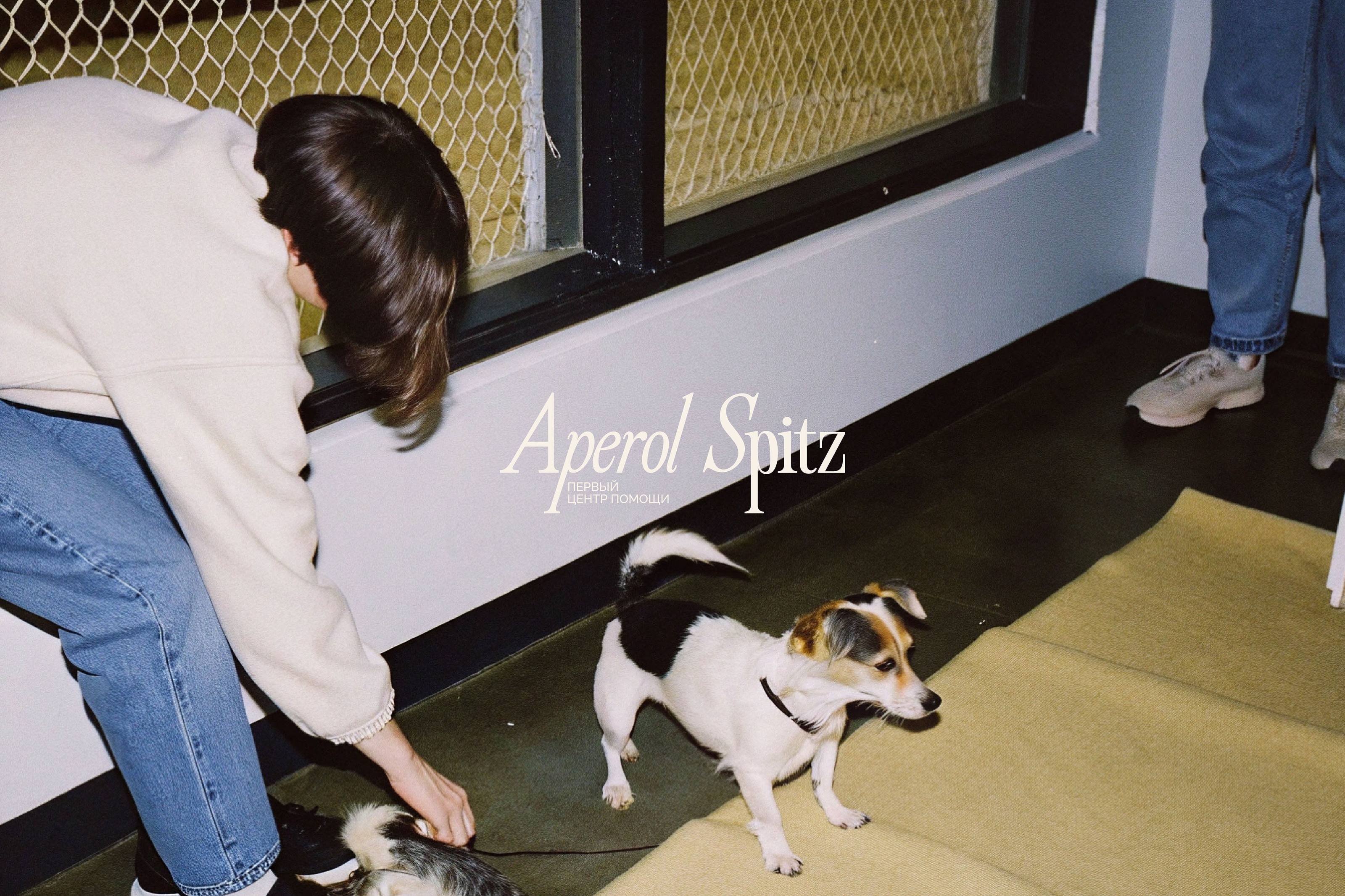APEROL SPITZ - brand identity + social media design — Изображение №11 — Брендинг на Dprofile