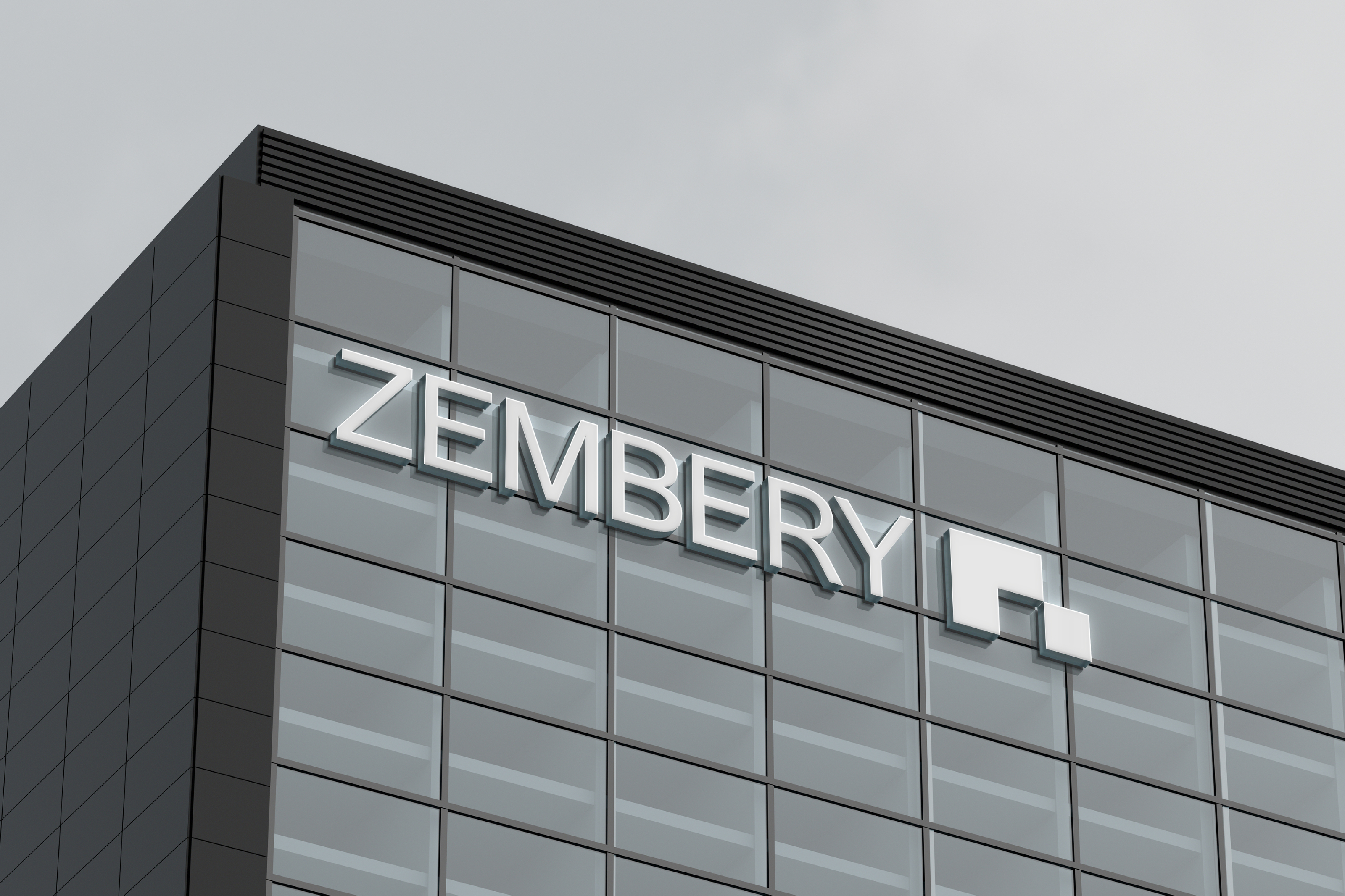 ZEMBERY / BRAND IDENTITY + SOCIAL MEDIA DESIGN — Изображение №6 — Брендинг на Dprofile