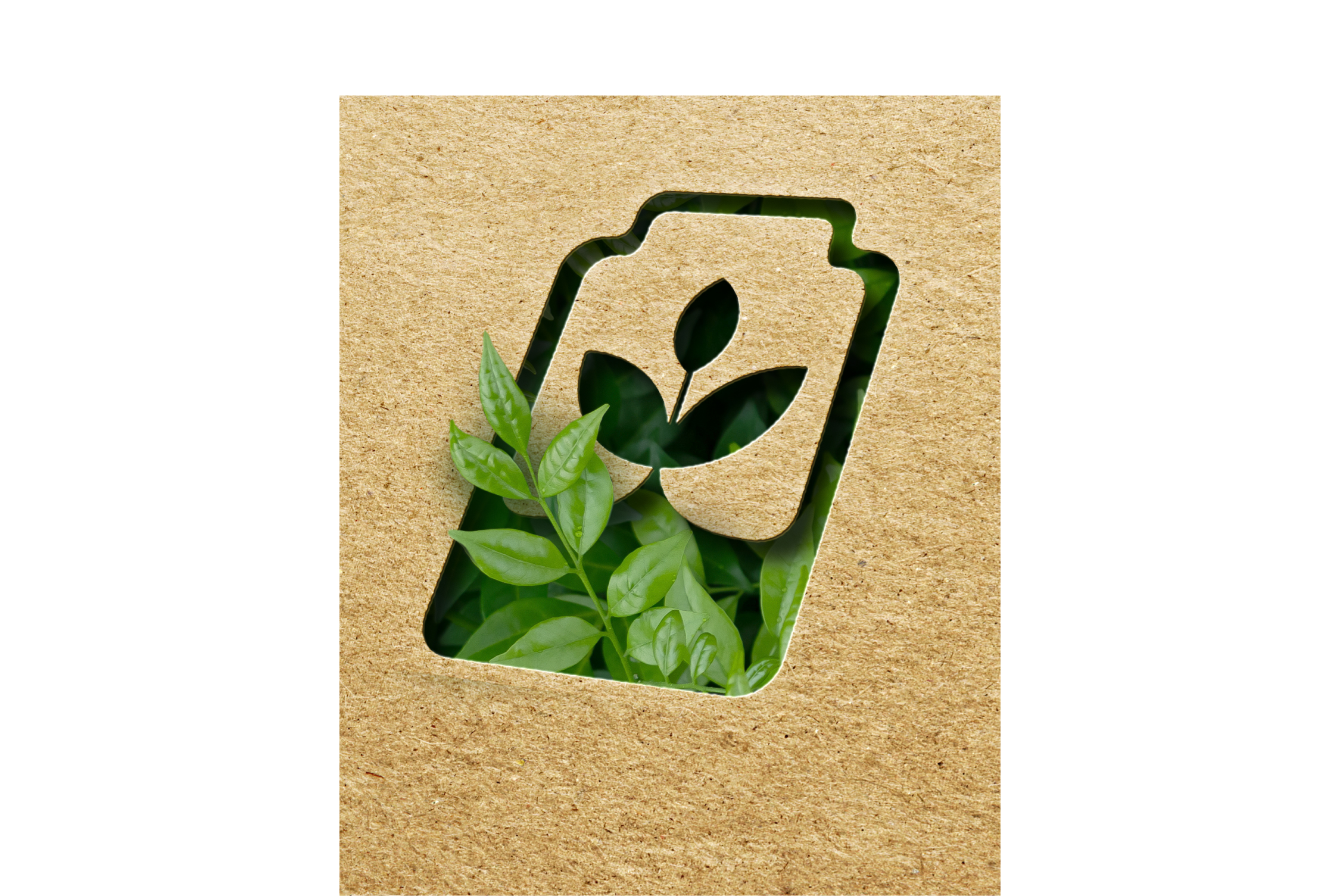 Eco Store Identity and website — Изображение №10 — Брендинг на Dprofile