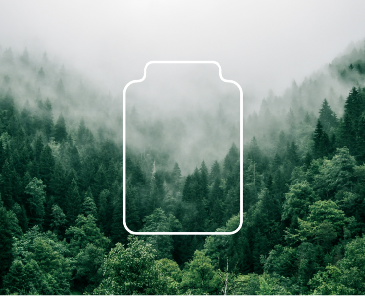 Eco Store Identity and website — Брендинг на Dprofile