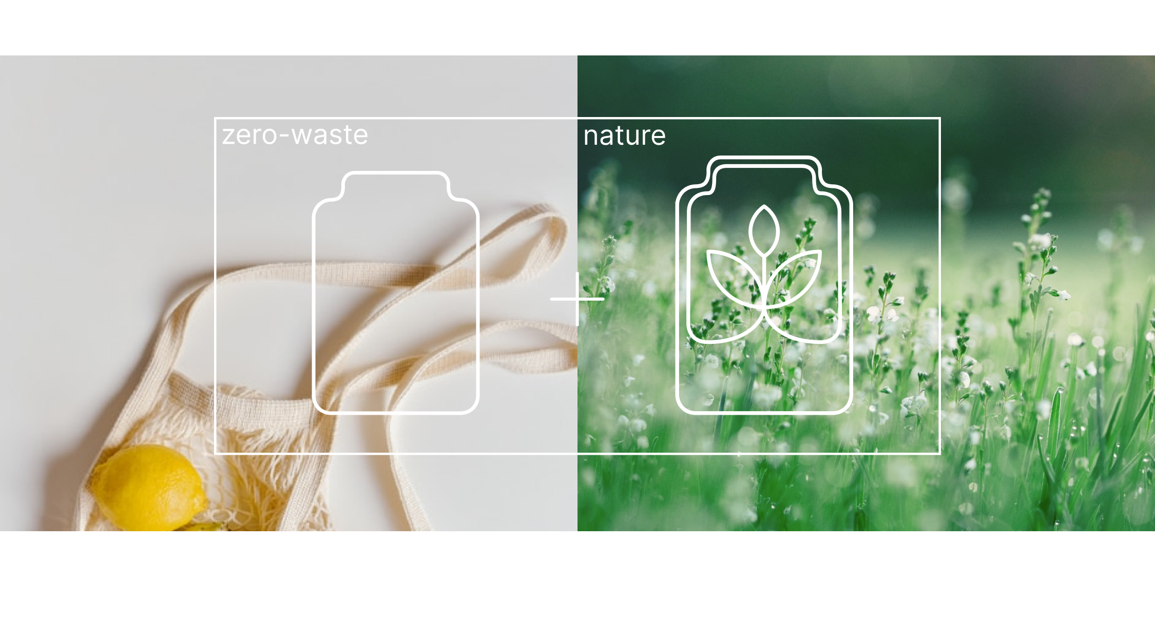 Eco Store Identity and website — Изображение №5 — Брендинг на Dprofile