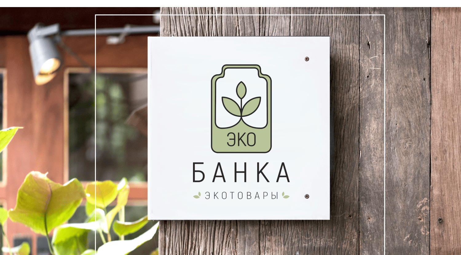 Eco Store Identity and website — Изображение №2 — Брендинг на Dprofile