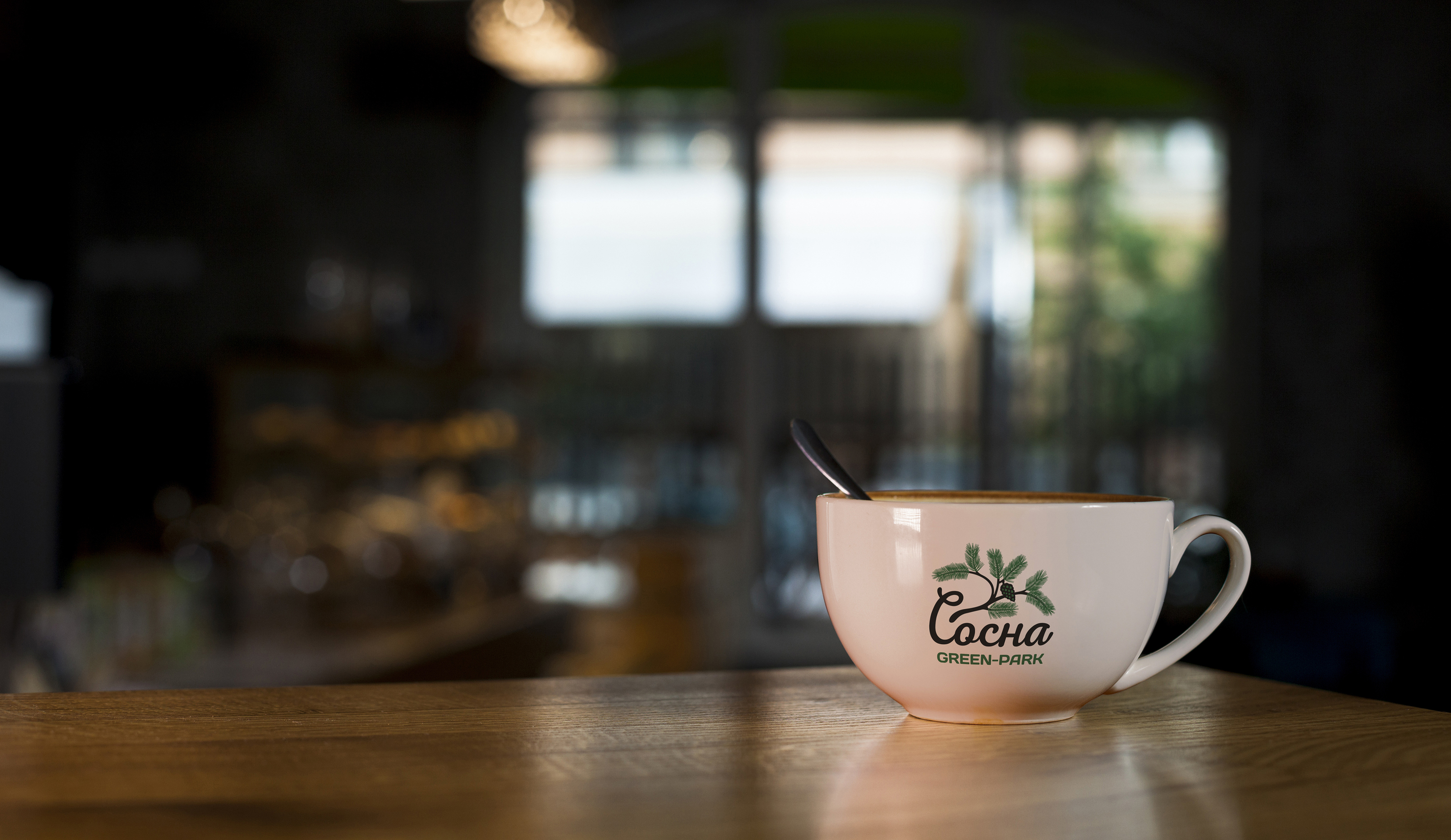 Фирменный стиль для Грин-парк "Сосна" — Изображение №8 — Брендинг на Dprofile