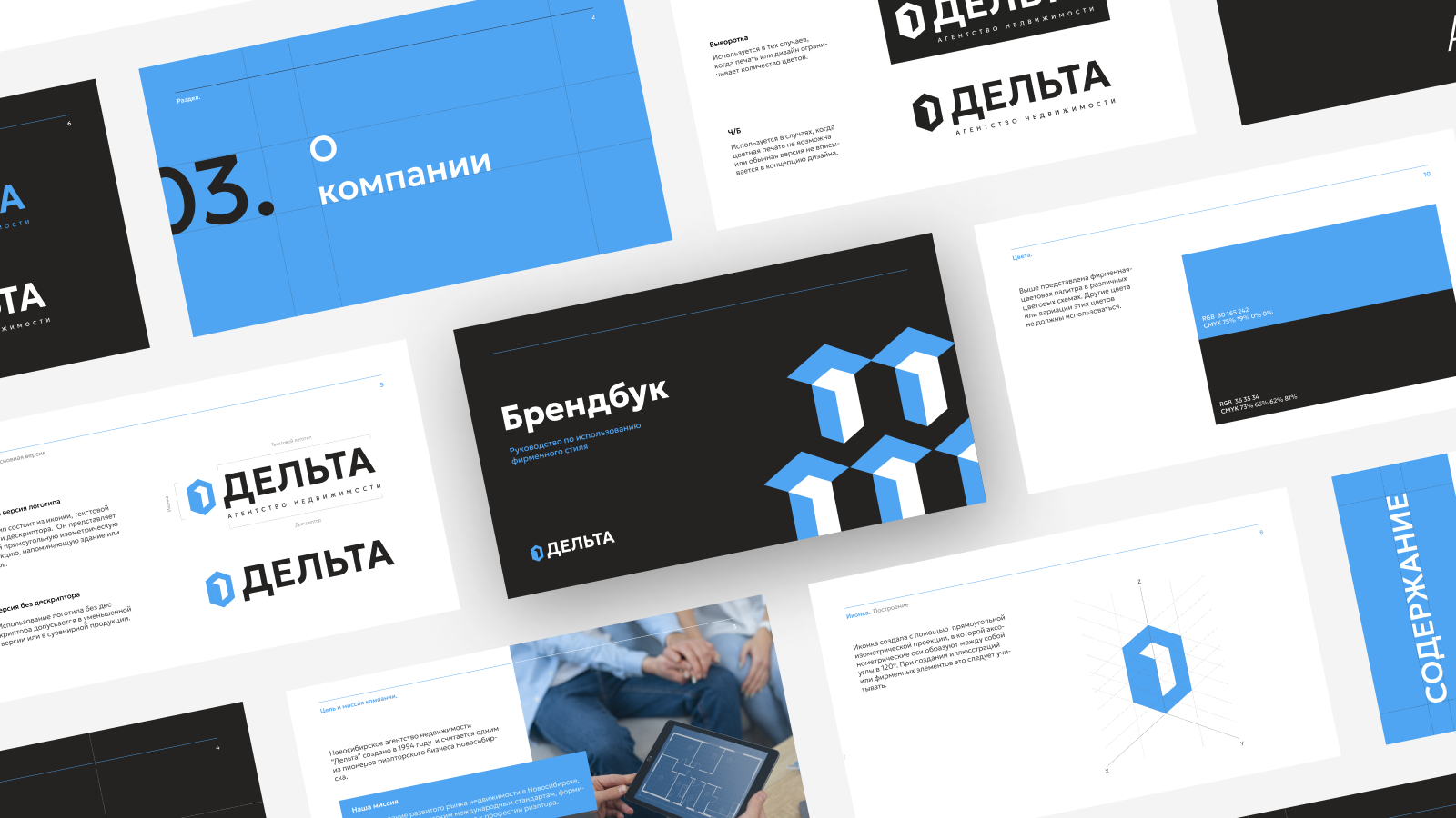 Разработка брендбука. АН Дельта. — Изображение №1 — Брендинг, Маркетинг на Dprofile