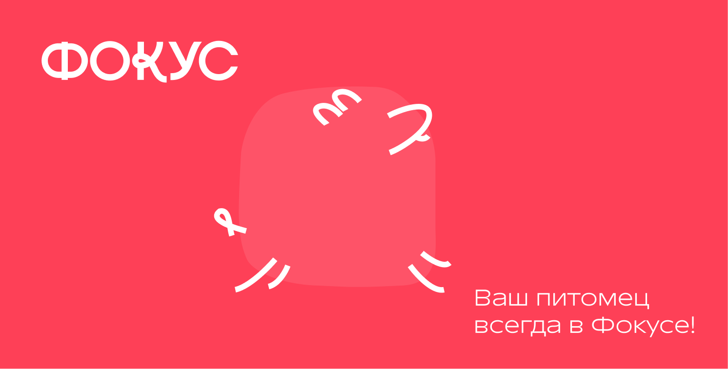 Айдентика ветеринарная клиника — Изображение №1 — Брендинг на Dprofile