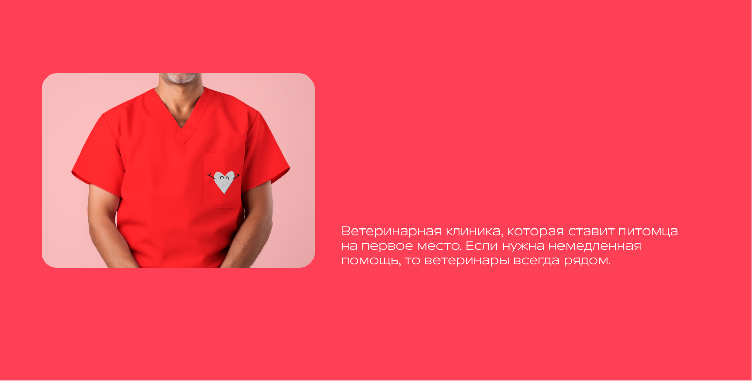 Айдентика ветеринарная клиника — Изображение №2 — Брендинг на Dprofile