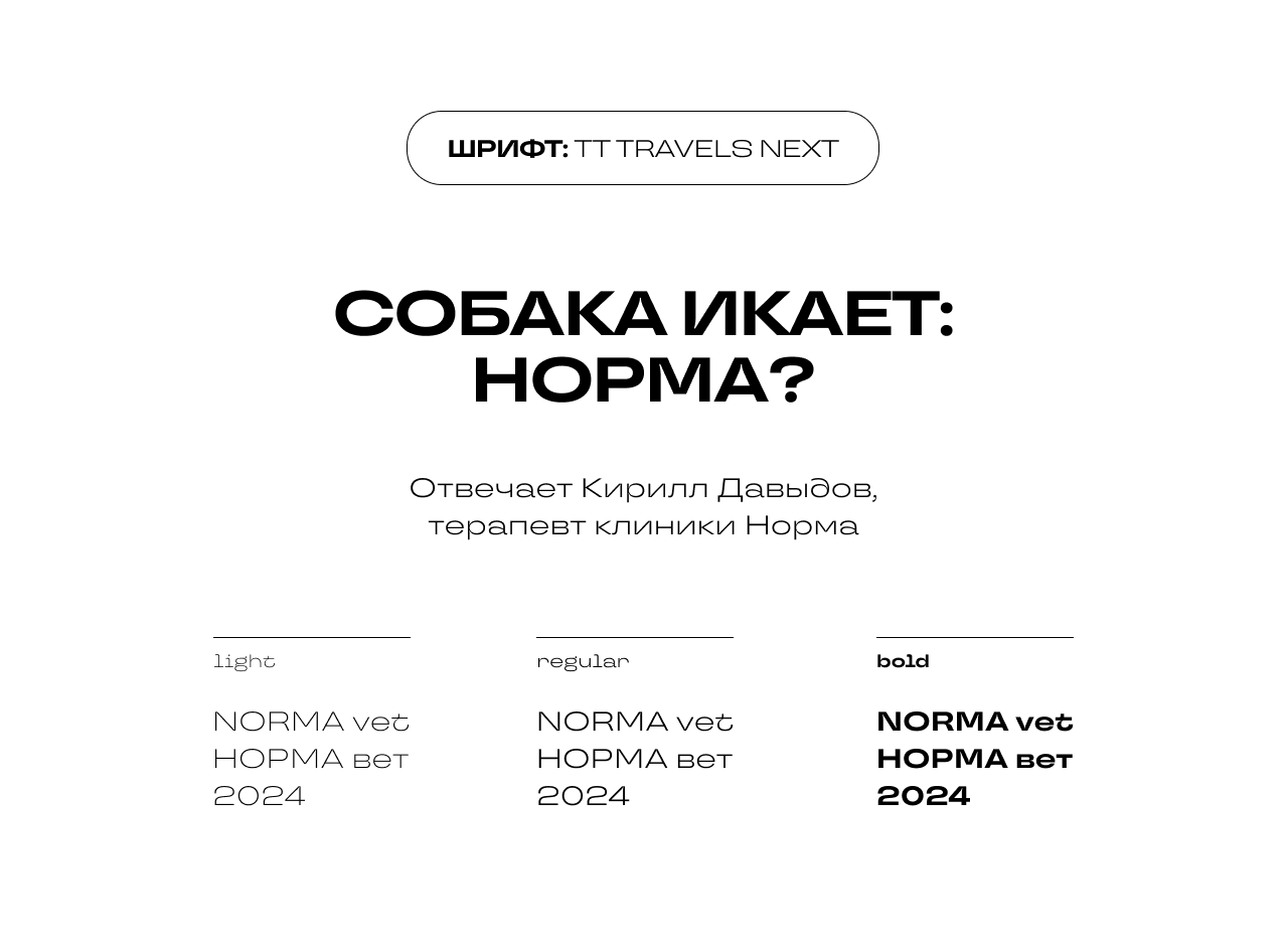 Айдентика ветеринарная клиника — Изображение №5 — Брендинг на Dprofile