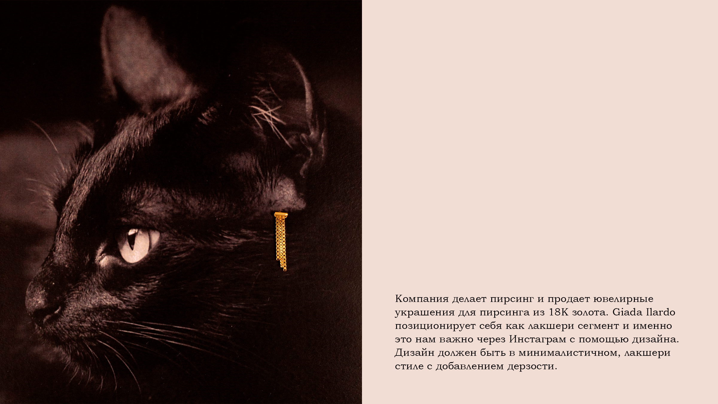 Digital identity for Giada Ilardo — Изображение №2 — Брендинг на Dprofile