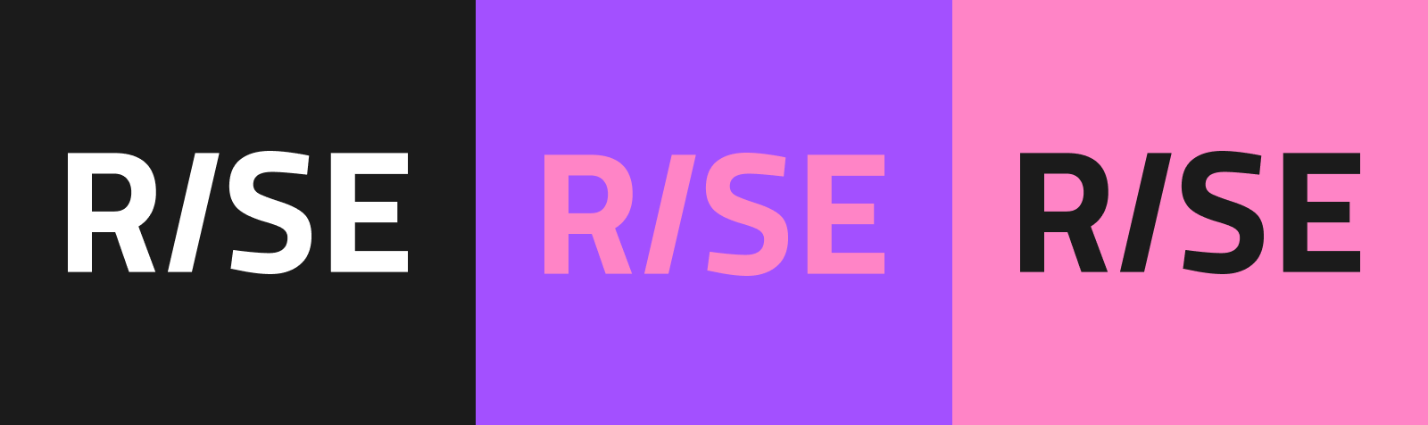 RISE | Музыкальный фестиваль — Изображение №6 — Брендинг, Графика на Dprofile