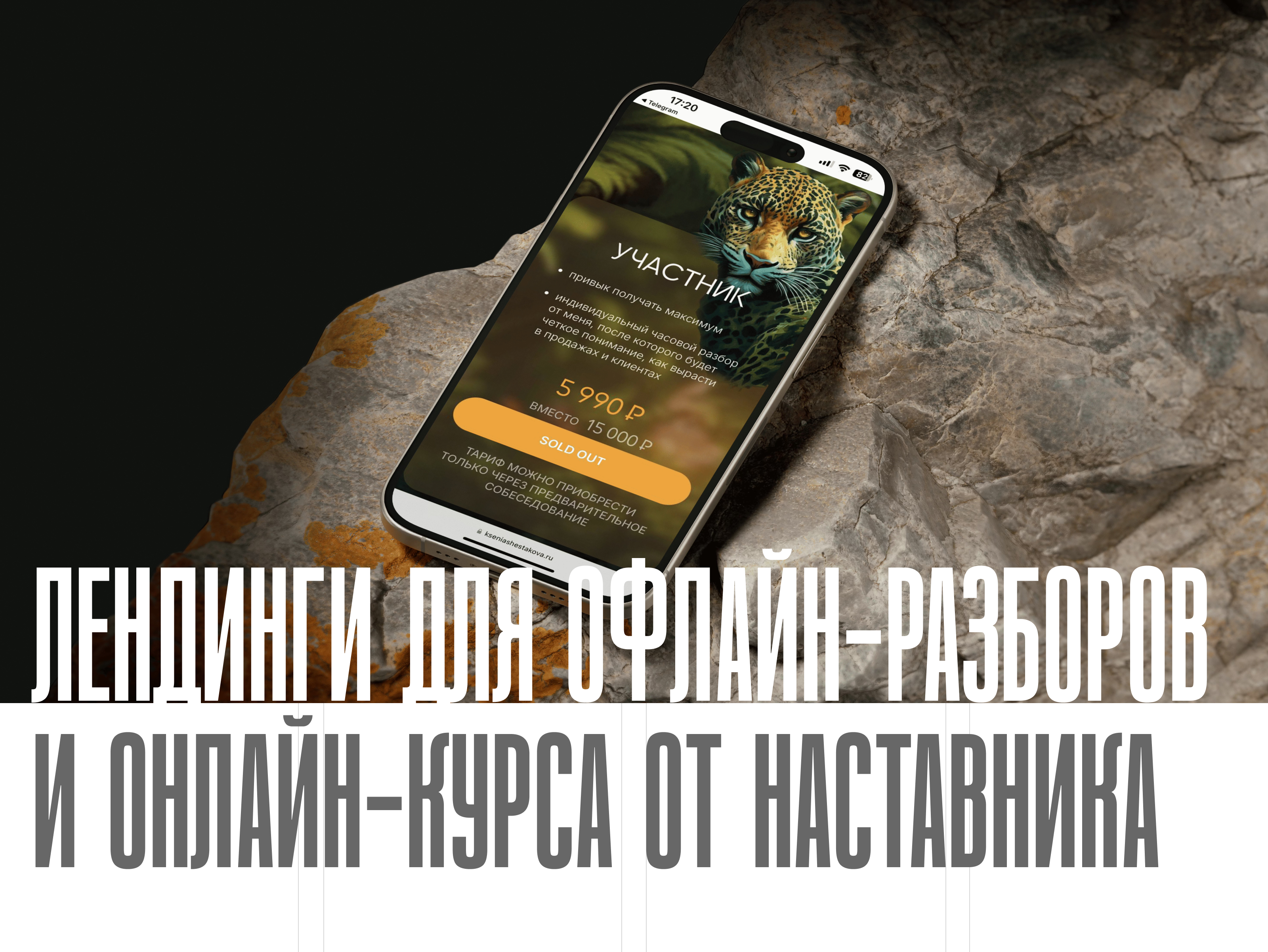 Лендинги для офлайн-разборов и онлайн курса от наставника — Изображение №1 — Интерфейсы, Брендинг на Dprofile